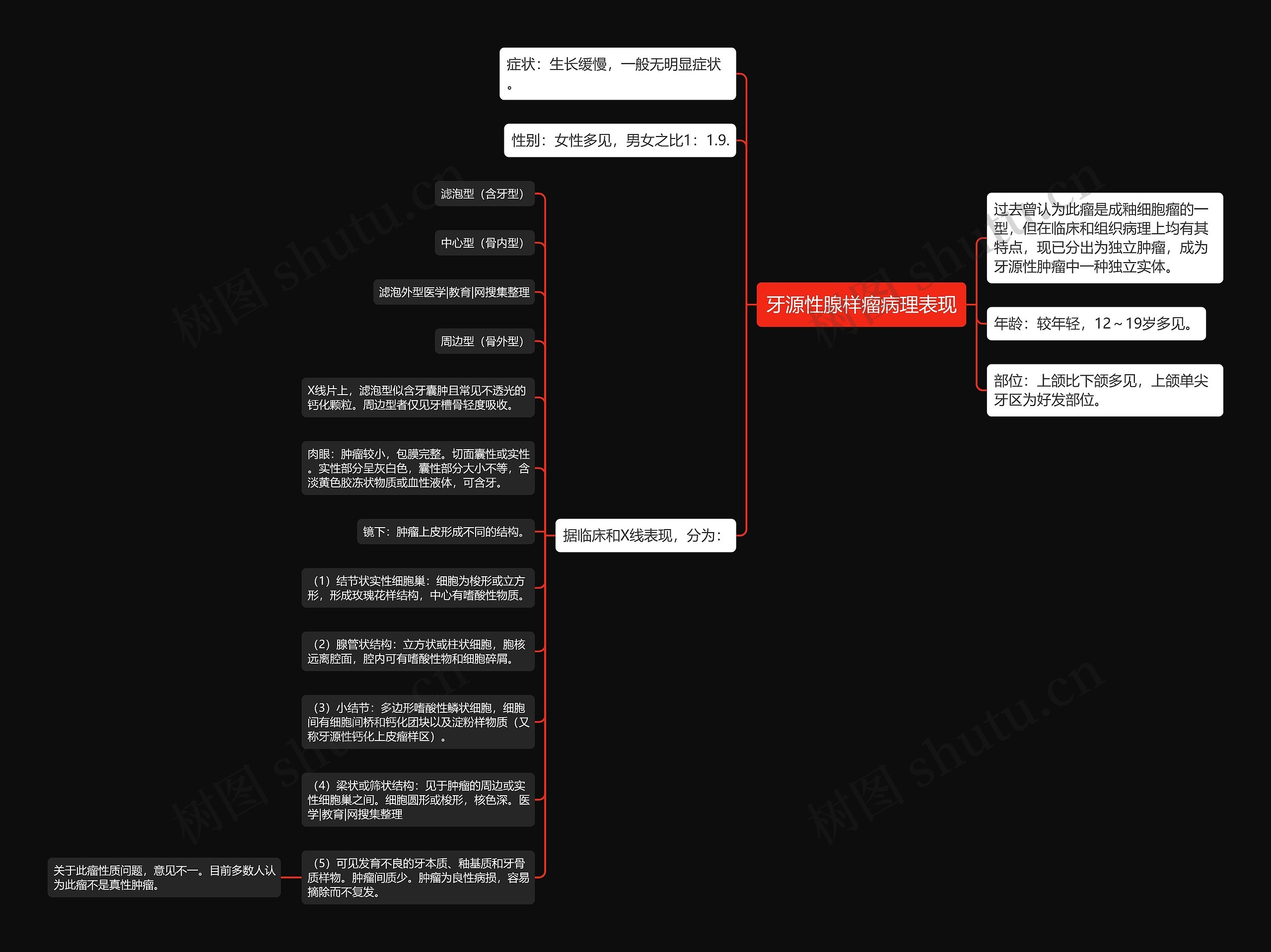 牙源性腺样瘤病理表现 牙源性腺样瘤病理表现