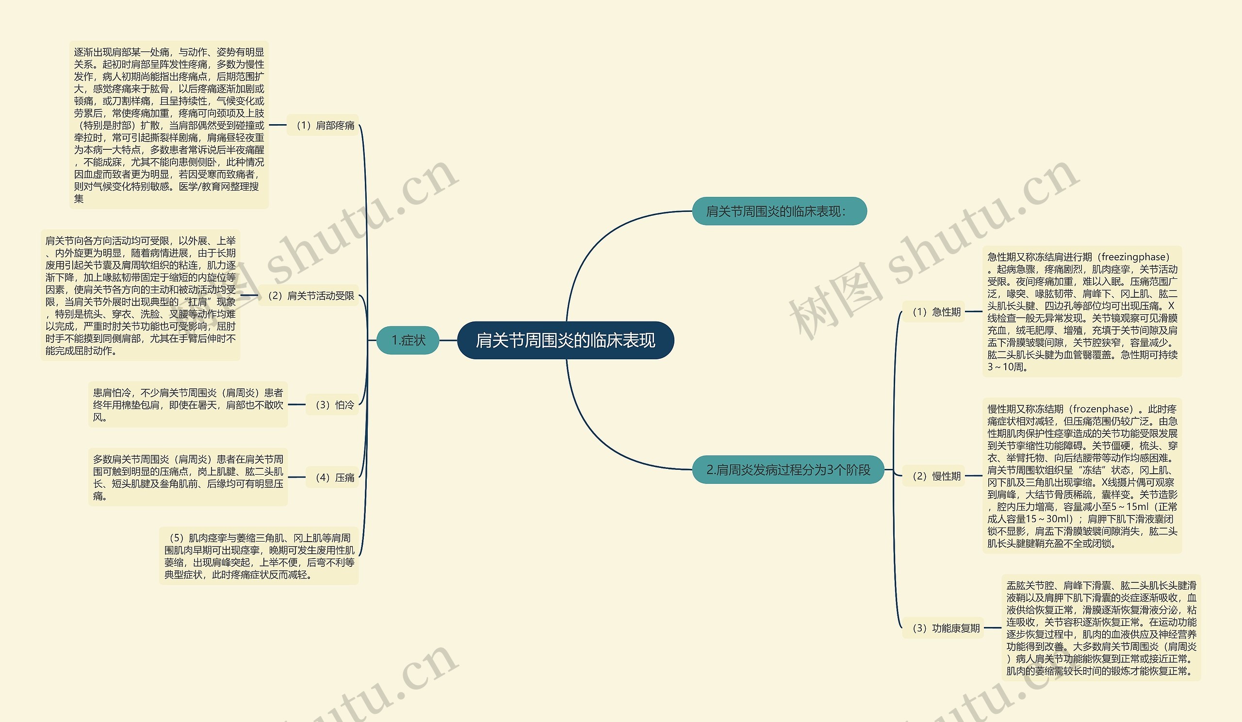 肩关节周围炎的临床表现思维导图