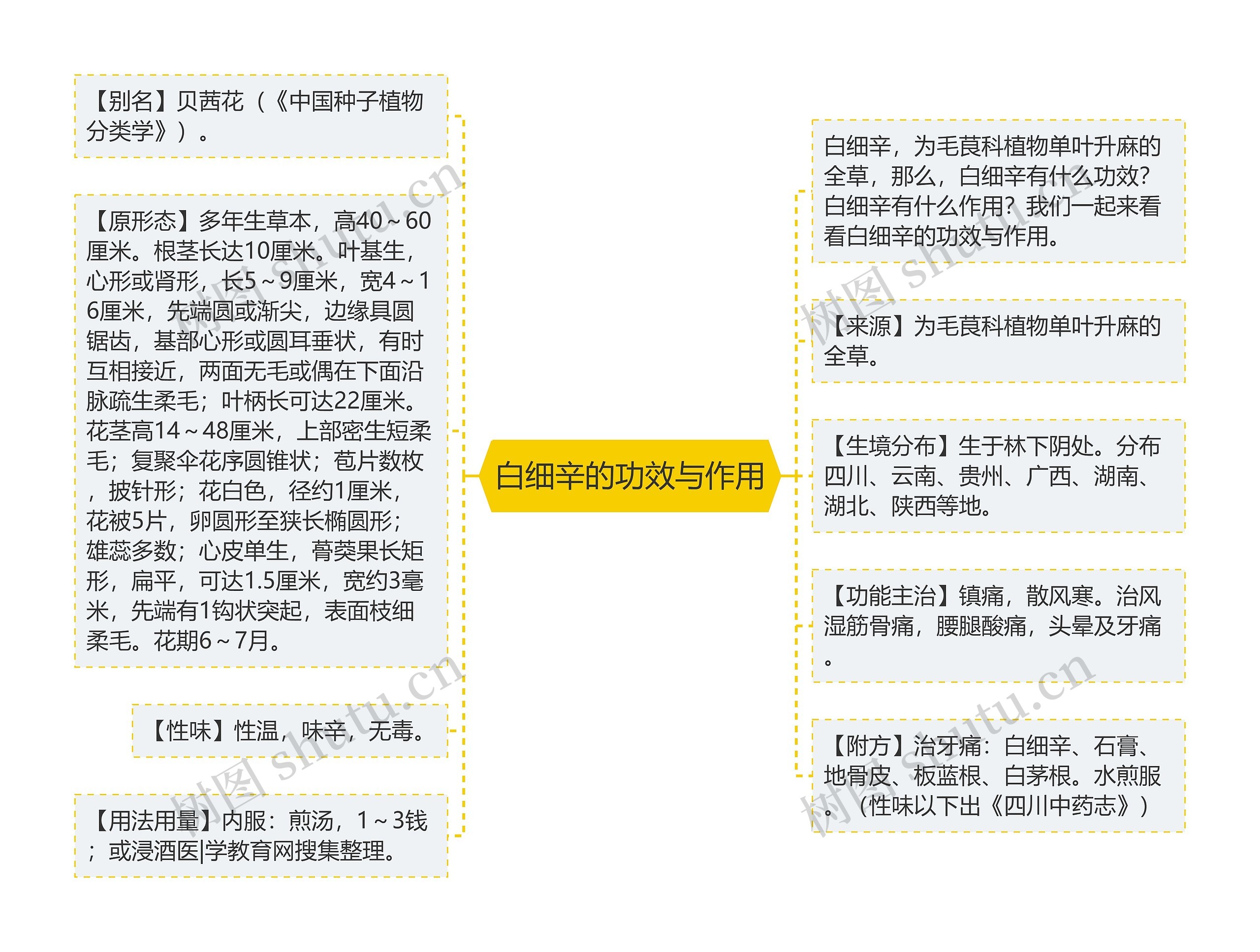 白细辛的功效与作用思维导图