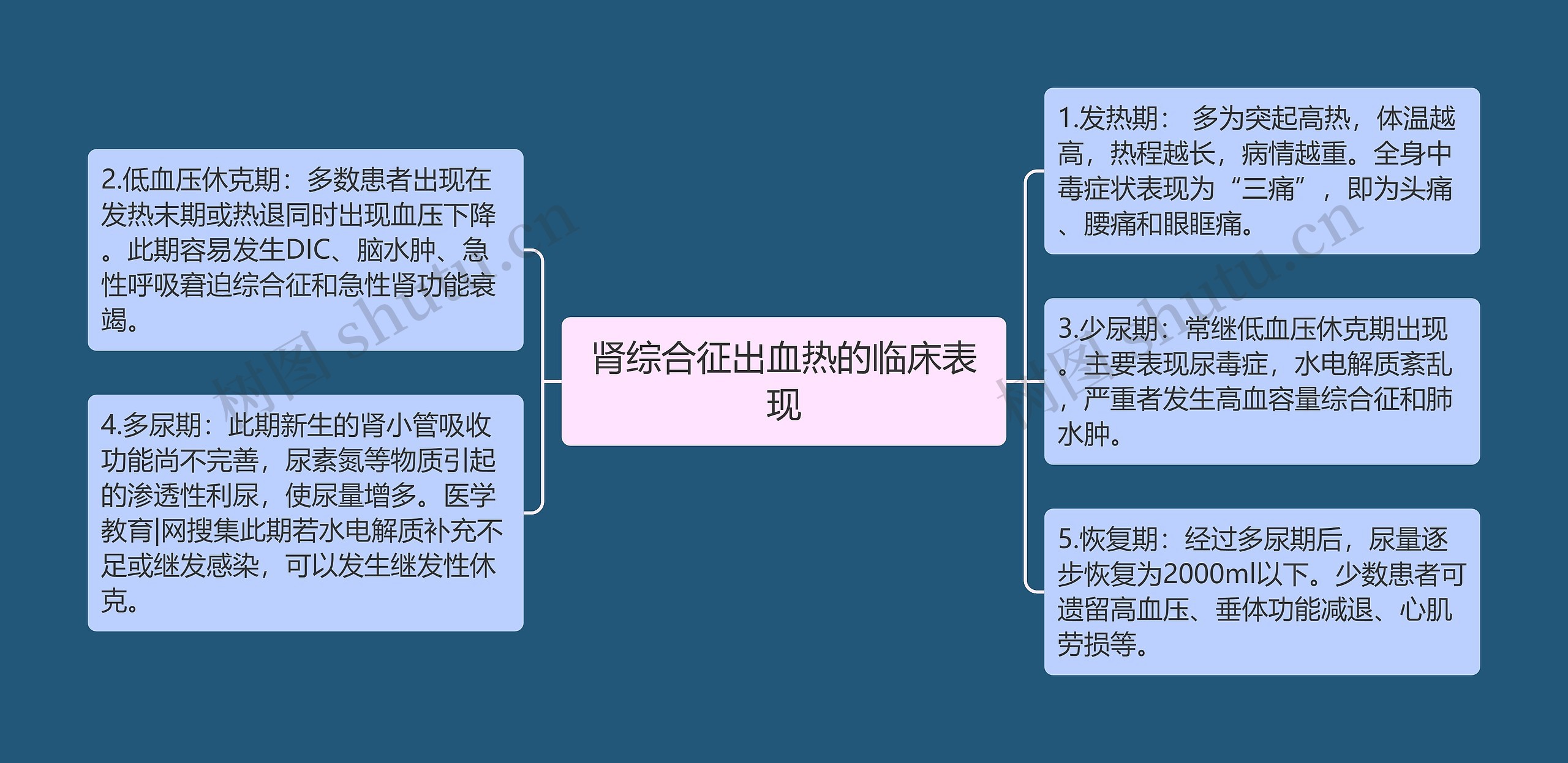 肾综合征出血热的临床表现思维导图