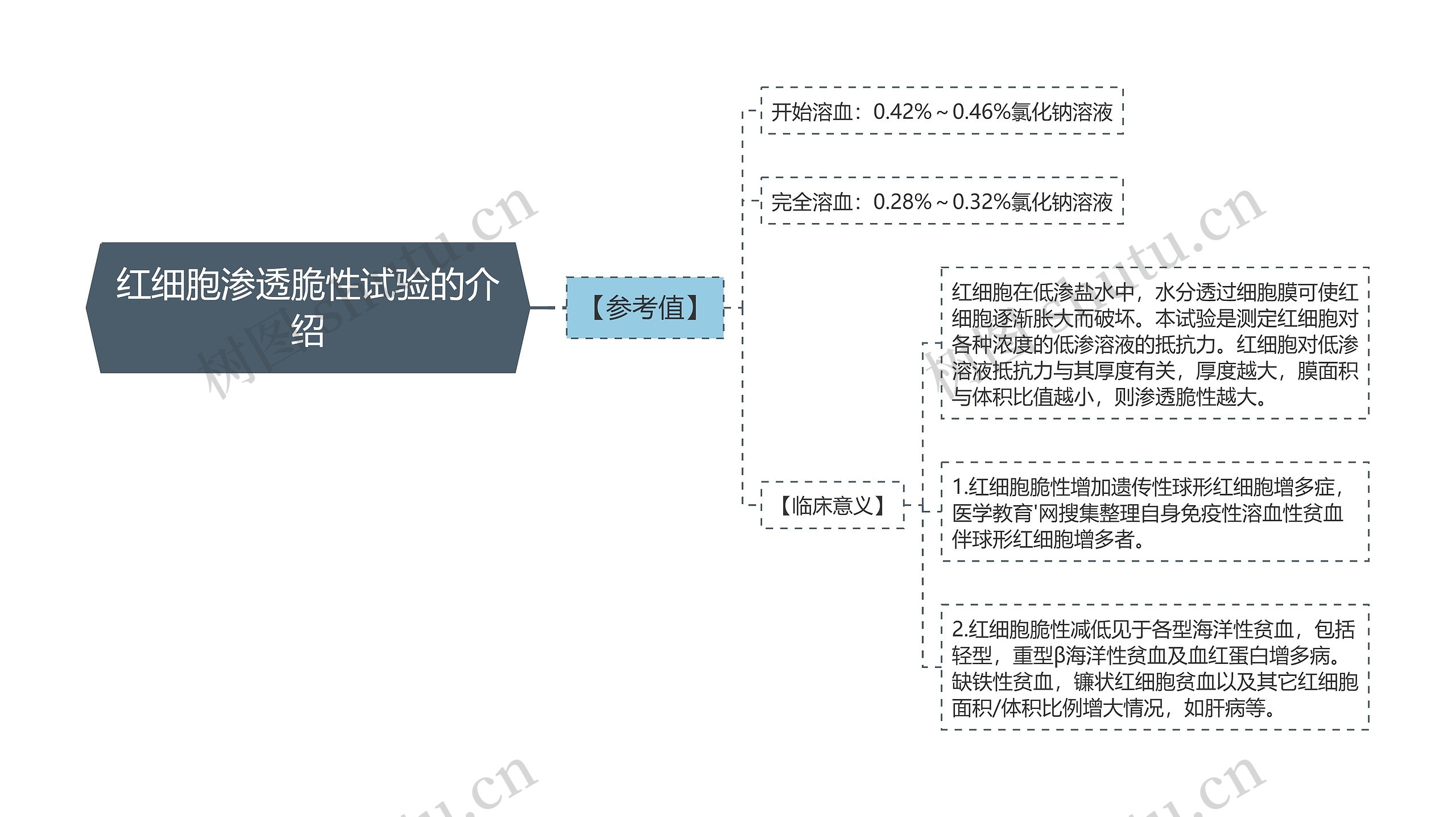 红细胞渗透脆性试验的介绍思维导图