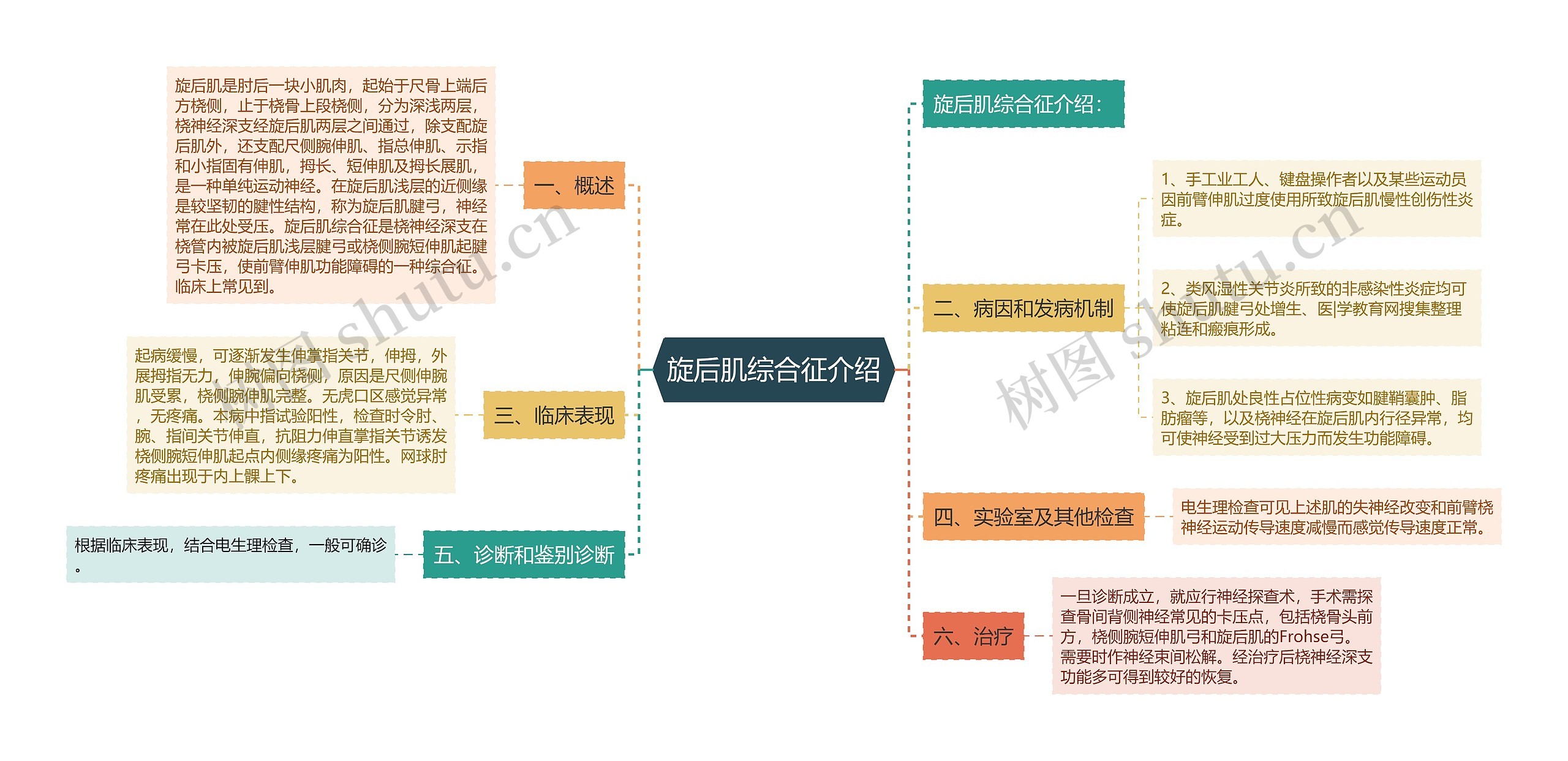 旋后肌综合征介绍思维导图