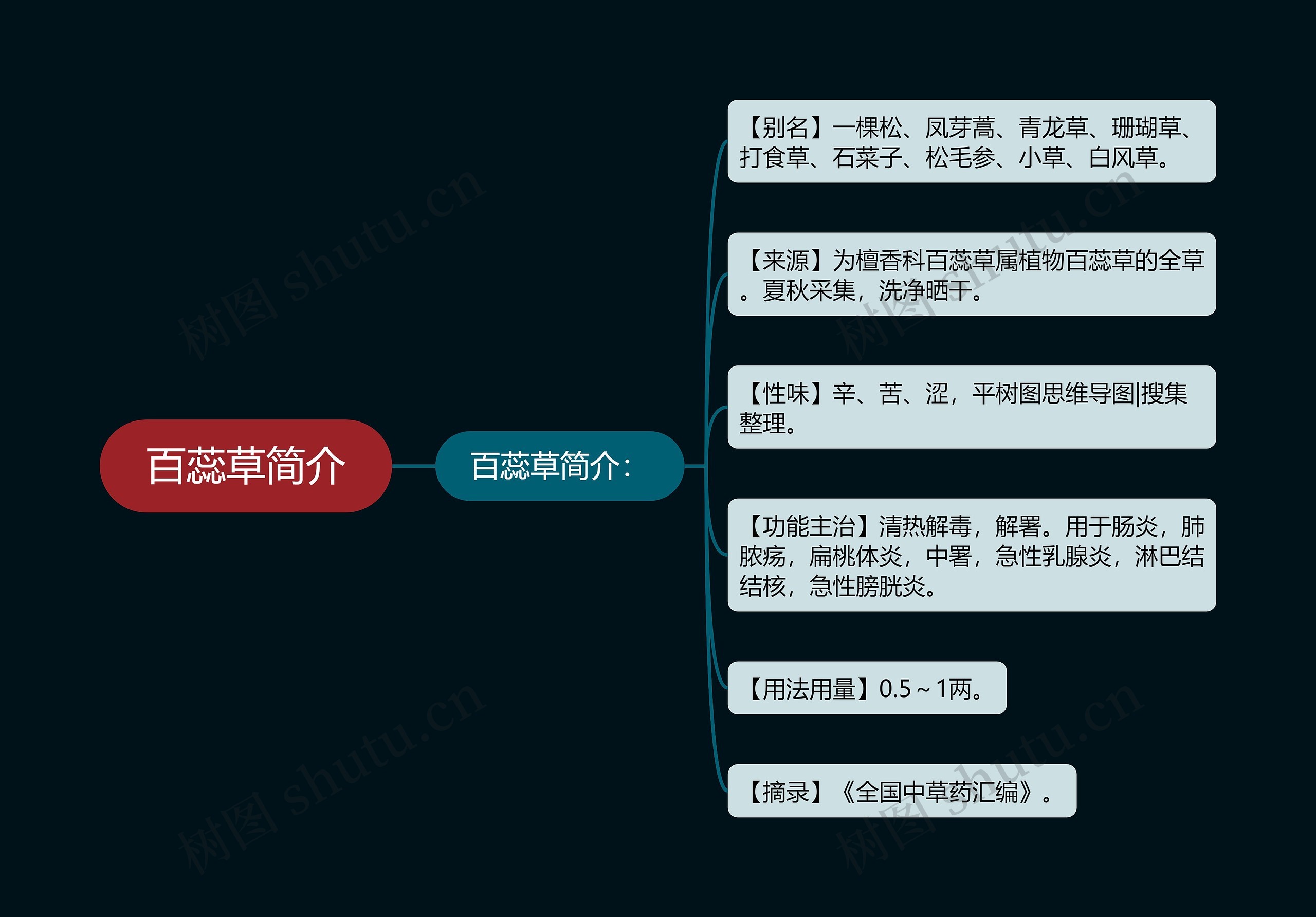 百蕊草简介思维导图