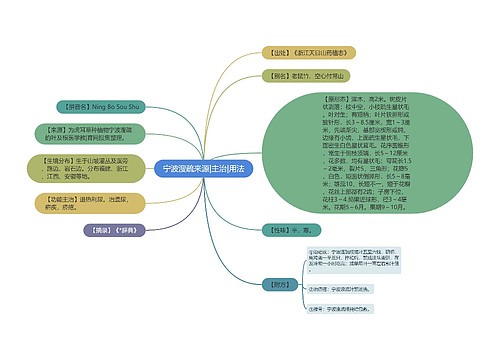 宁波溲疏来源|主治|用法