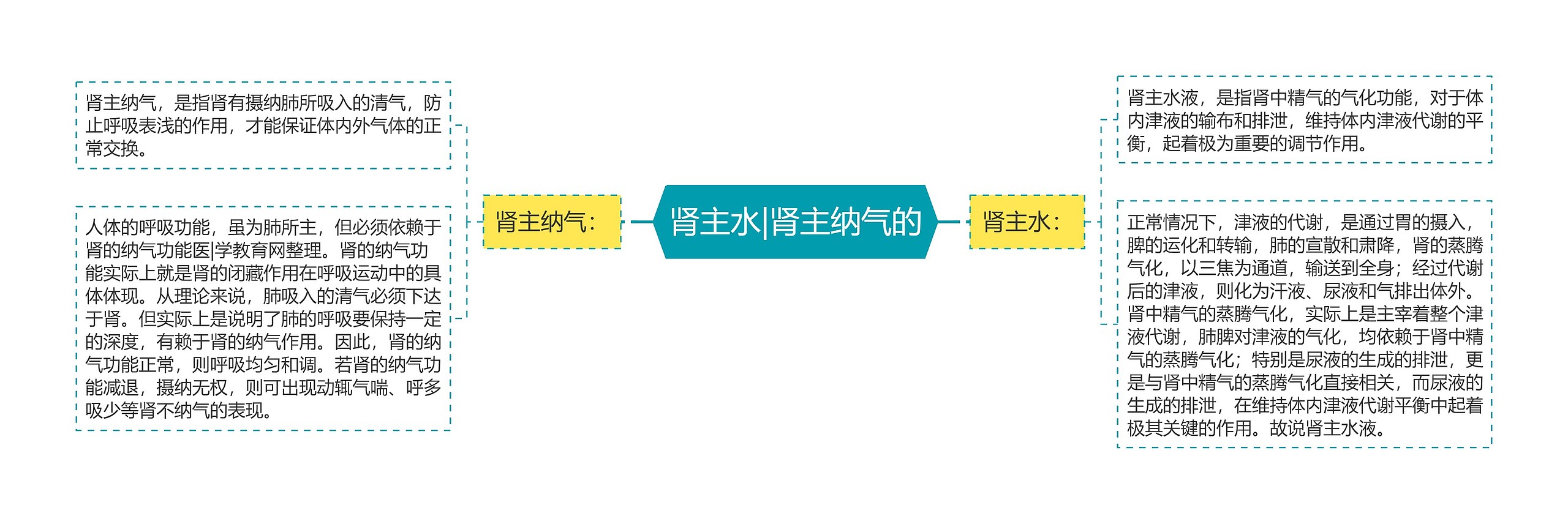 肾主水|肾主纳气的