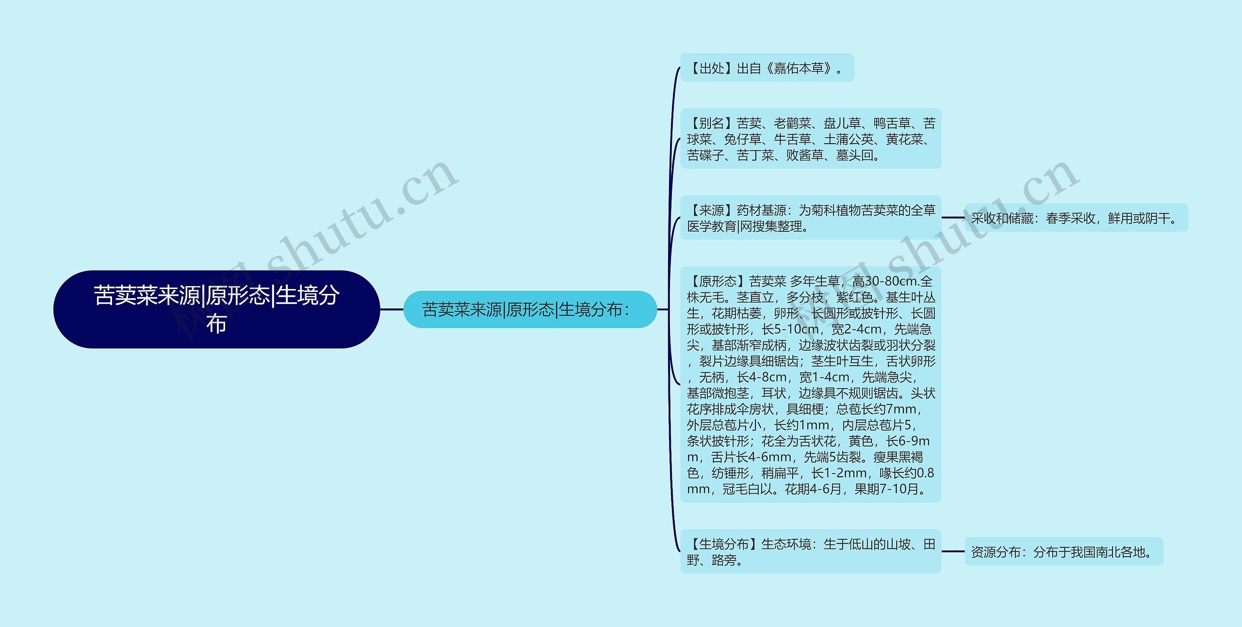 苦荬菜来源|原形态|生境分布 苦荬菜来源|原形态|生境分布