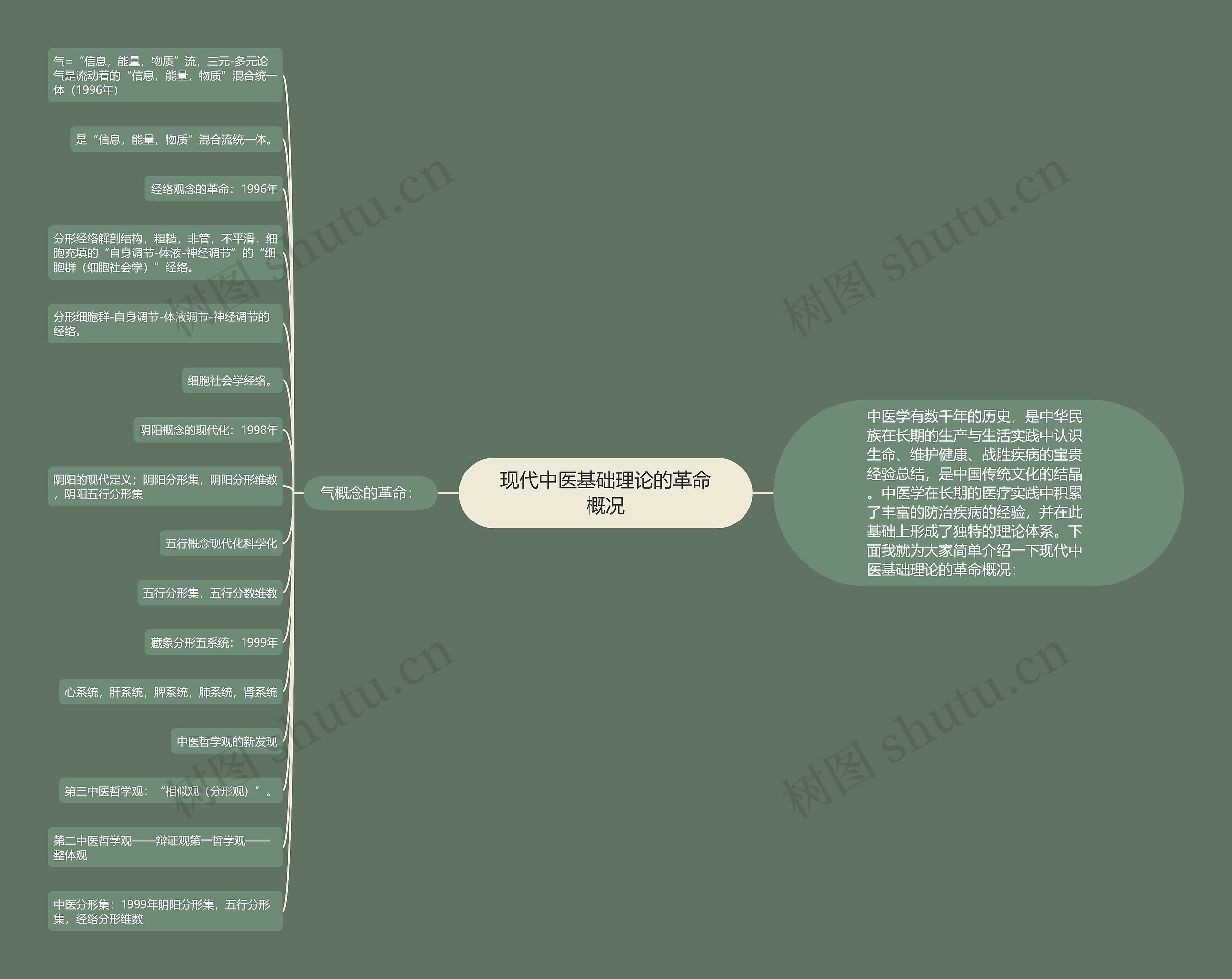 现代中医基础理论的革命概况思维导图