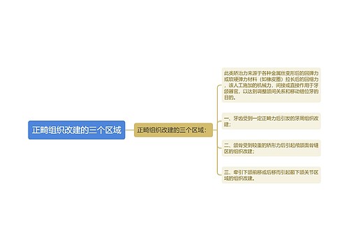 正畸组织改建的三个区域