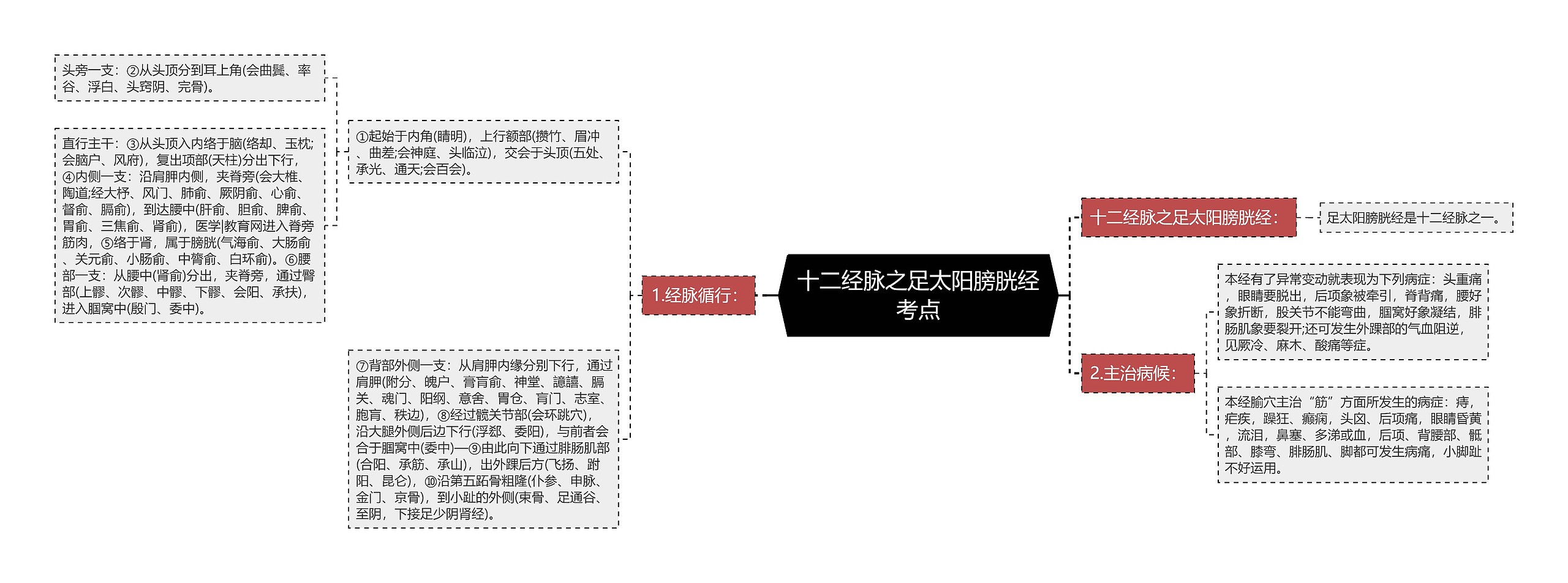 十二经脉之足太阳膀胱经考点思维导图