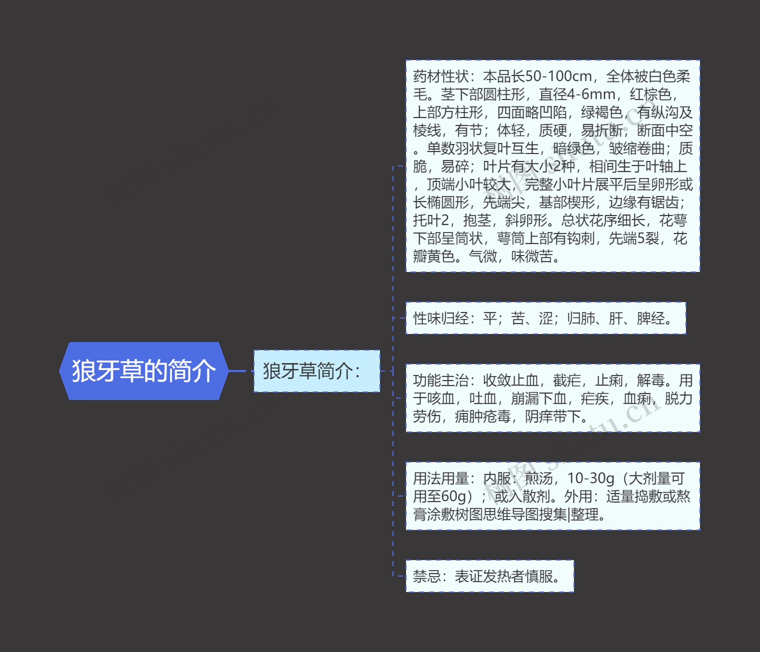 狼牙草的简介思维导图