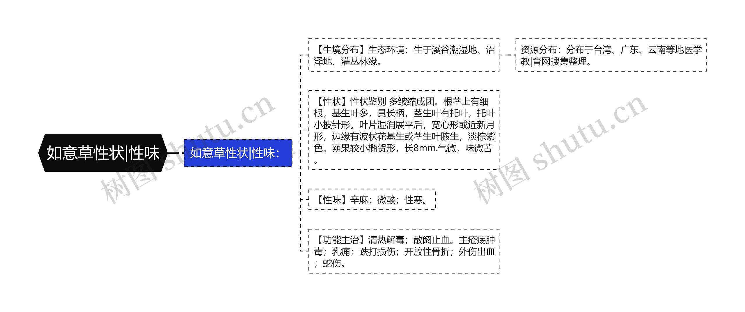 如意草性状|性味思维导图