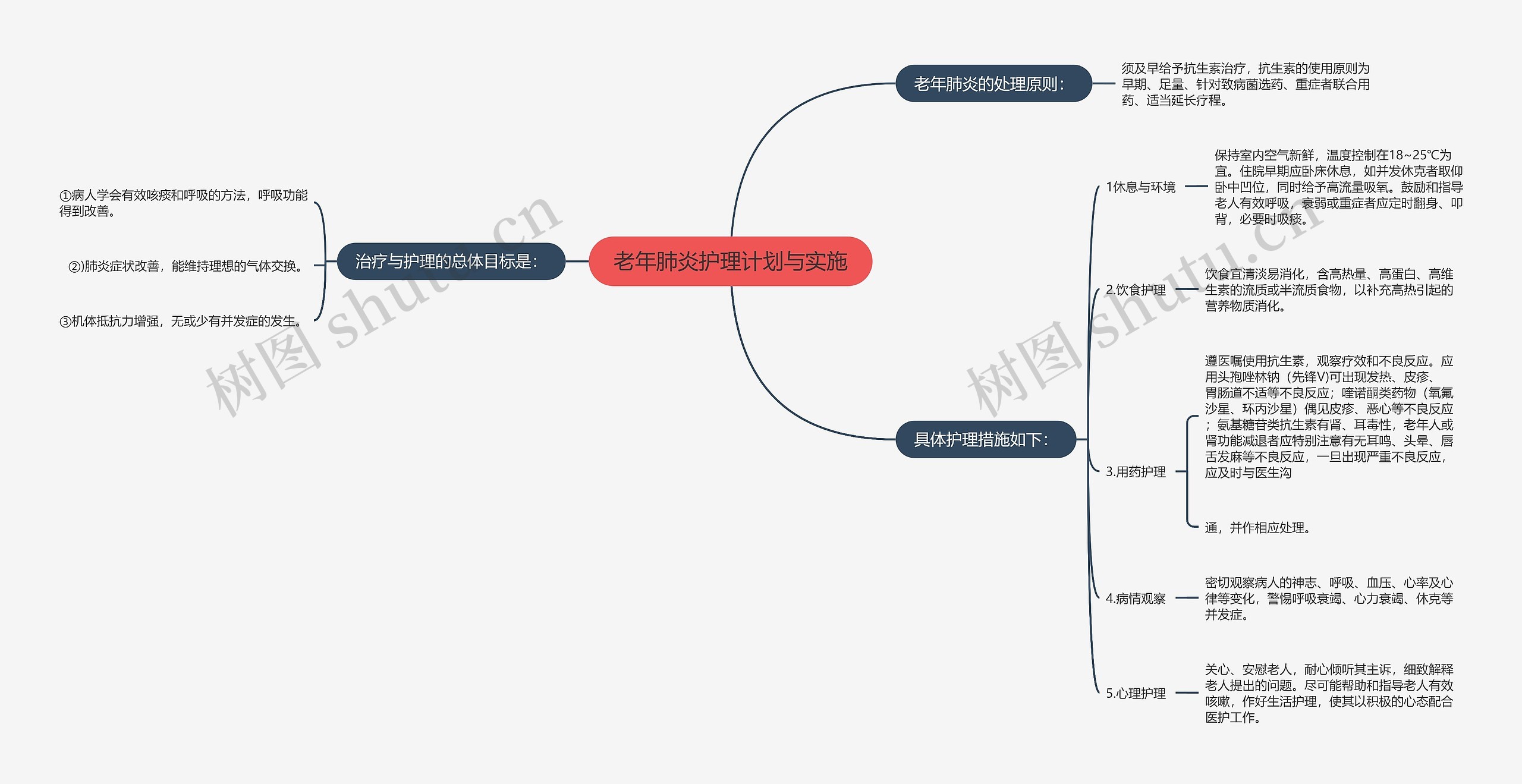 老年肺炎护理计划与实施思维导图