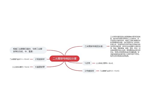 二尖瓣狭窄病因|分度