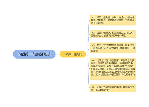 下颌第一前磨牙形态