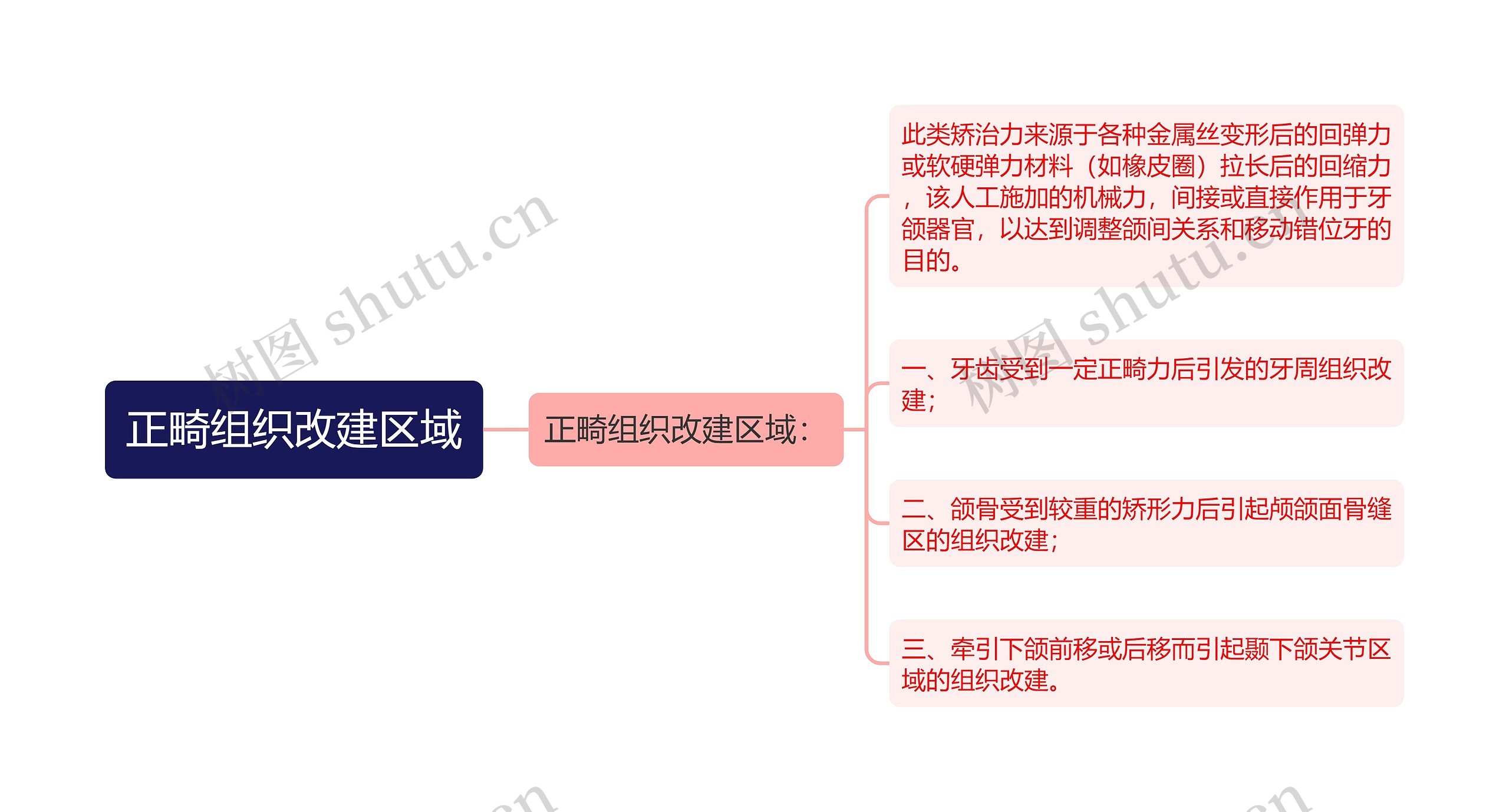 正畸组织改建区域思维导图