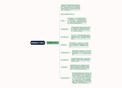 腭裂整复手术操作