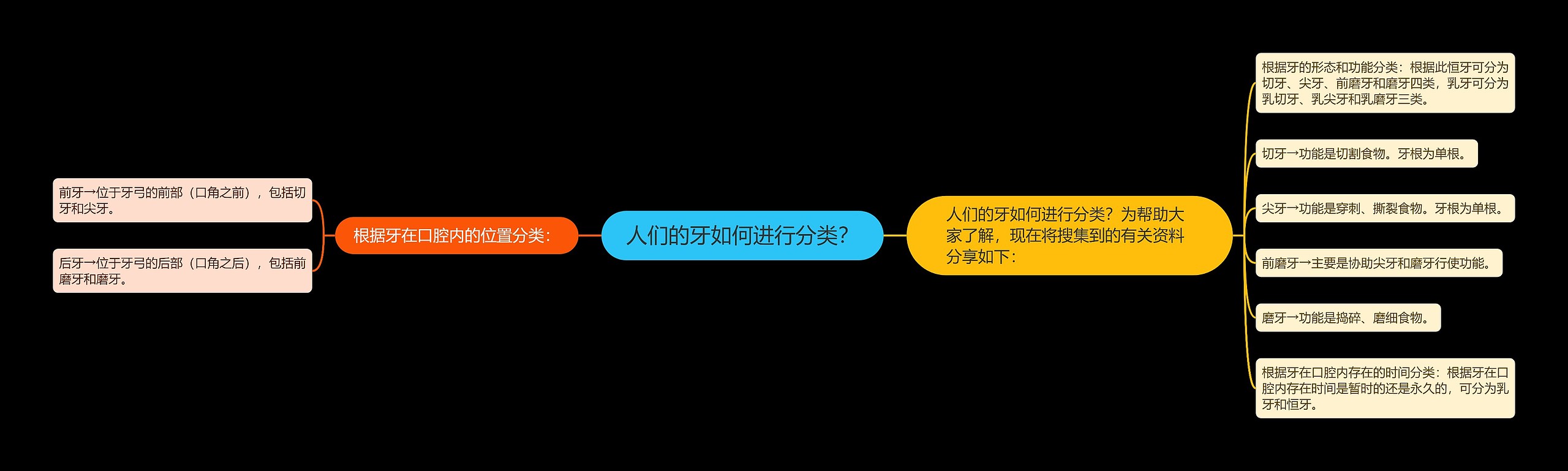 人们的牙如何进行分类？