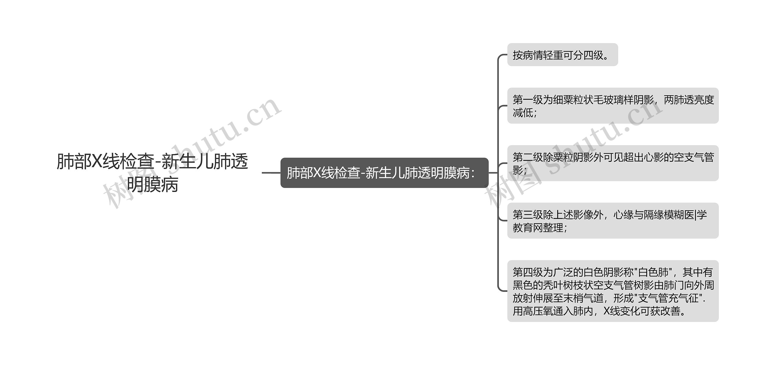 肺部X线检查-新生儿肺透明膜病思维导图