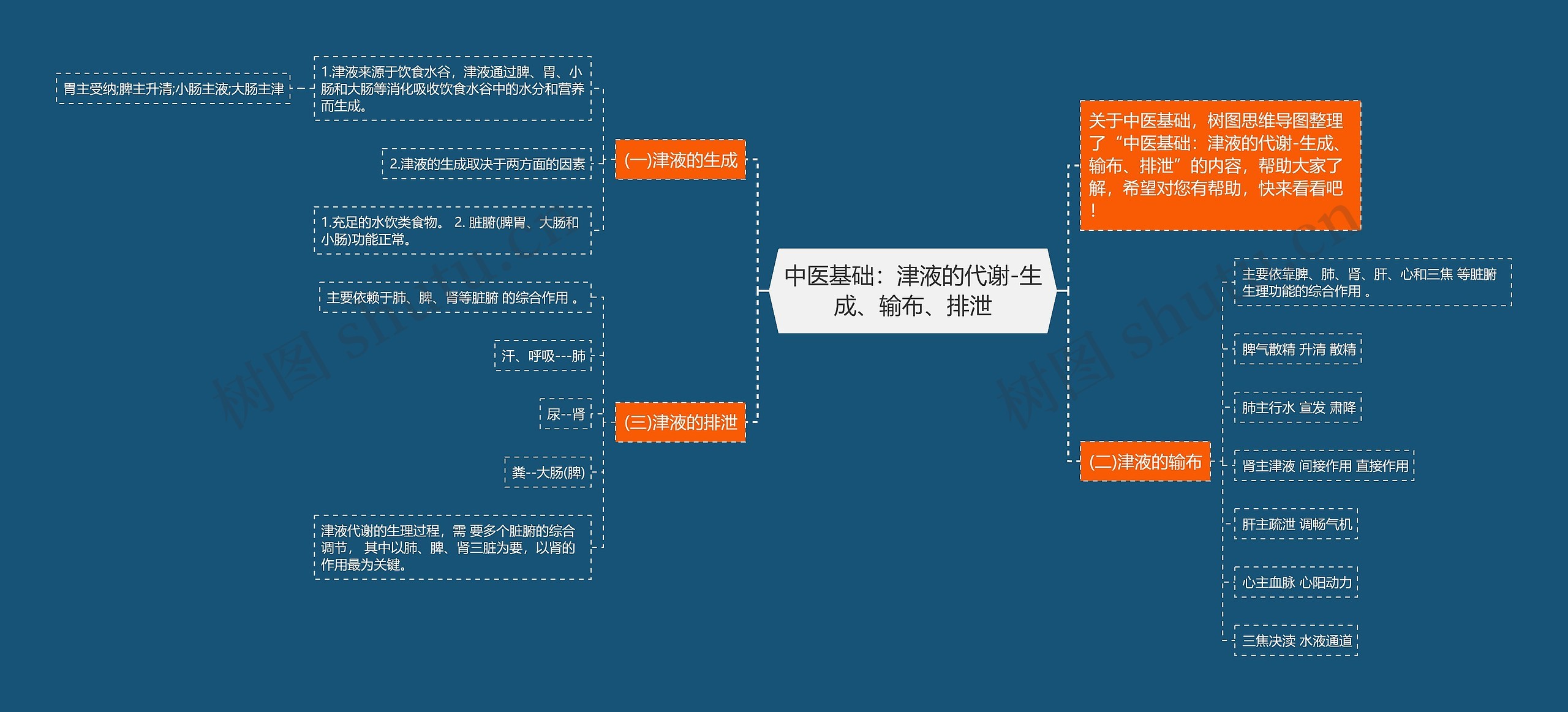 中医基础：津液的代谢-生成、输布、排泄