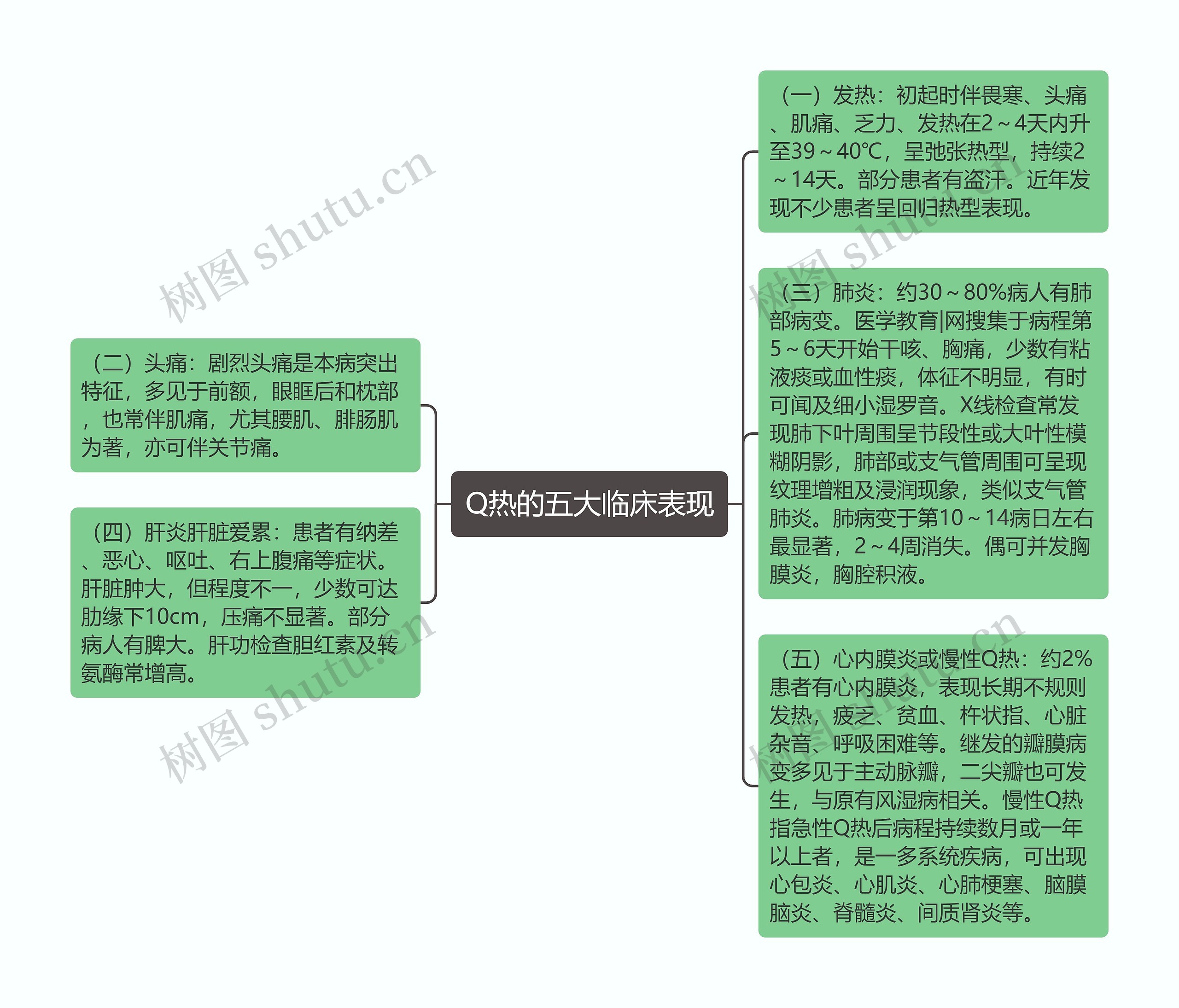 Q热的五大临床表现思维导图