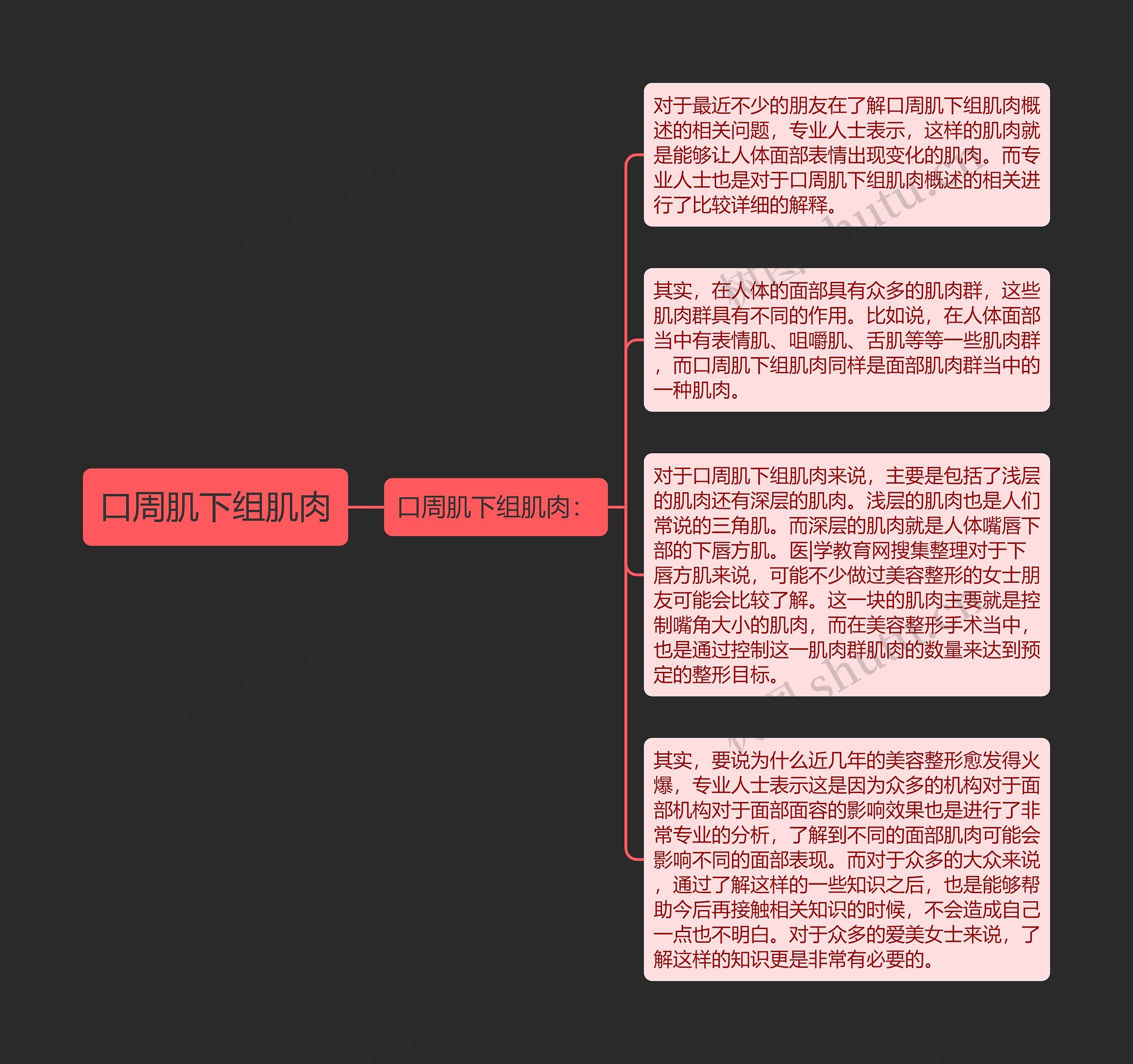 口周肌下组肌肉