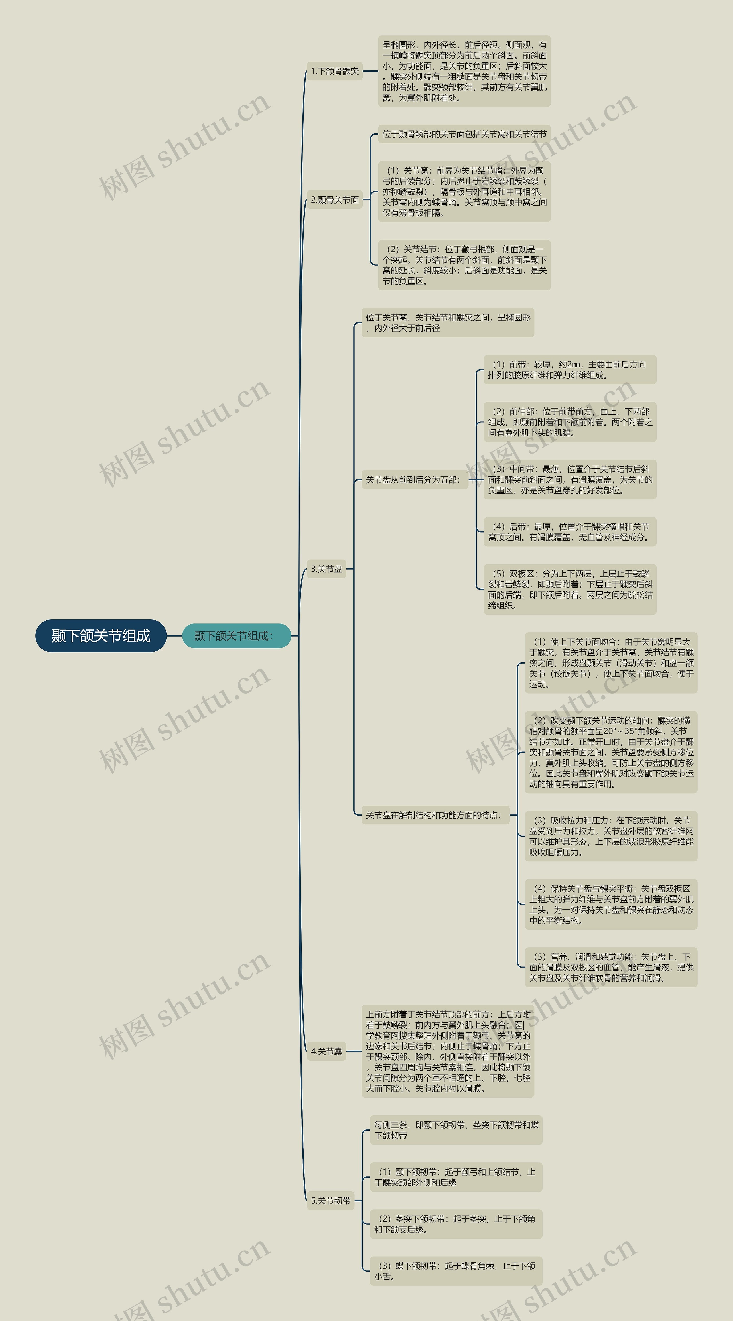 颞下颌关节组成思维导图