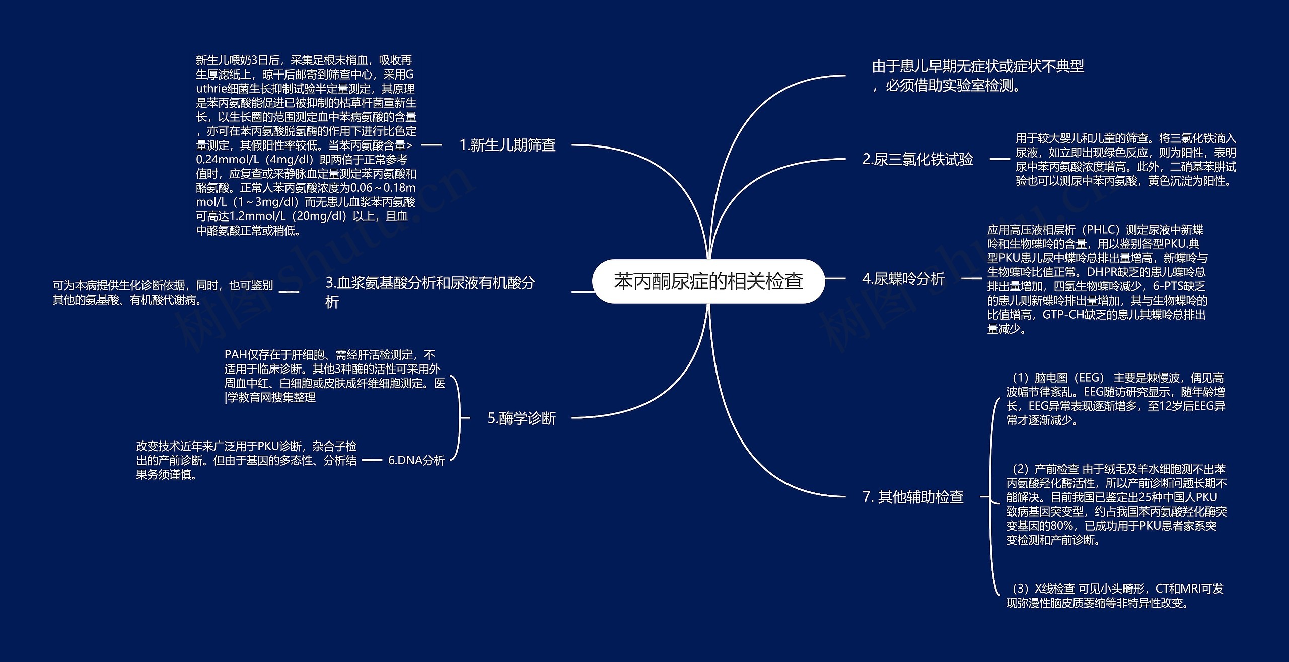 苯丙酮尿症的相关检查思维导图