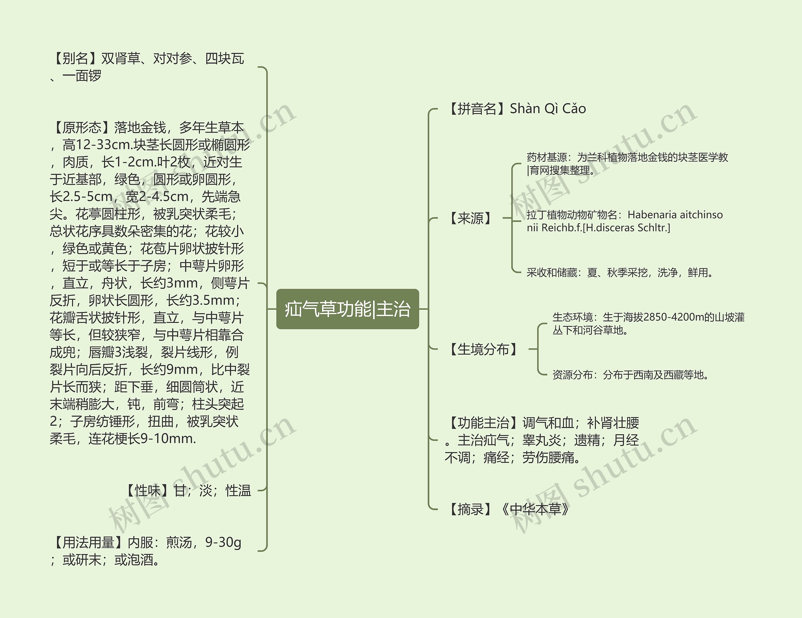 疝气草功能|主治思维导图