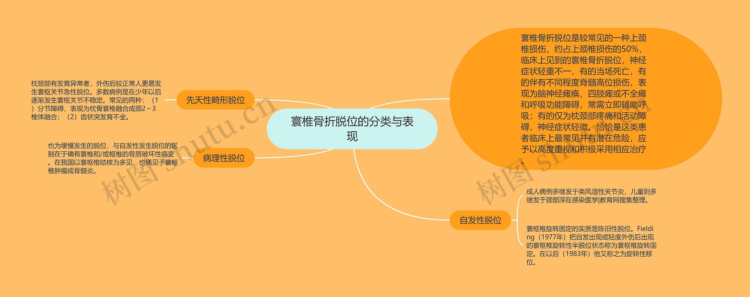 寰椎骨折脱位的分类与表现思维导图