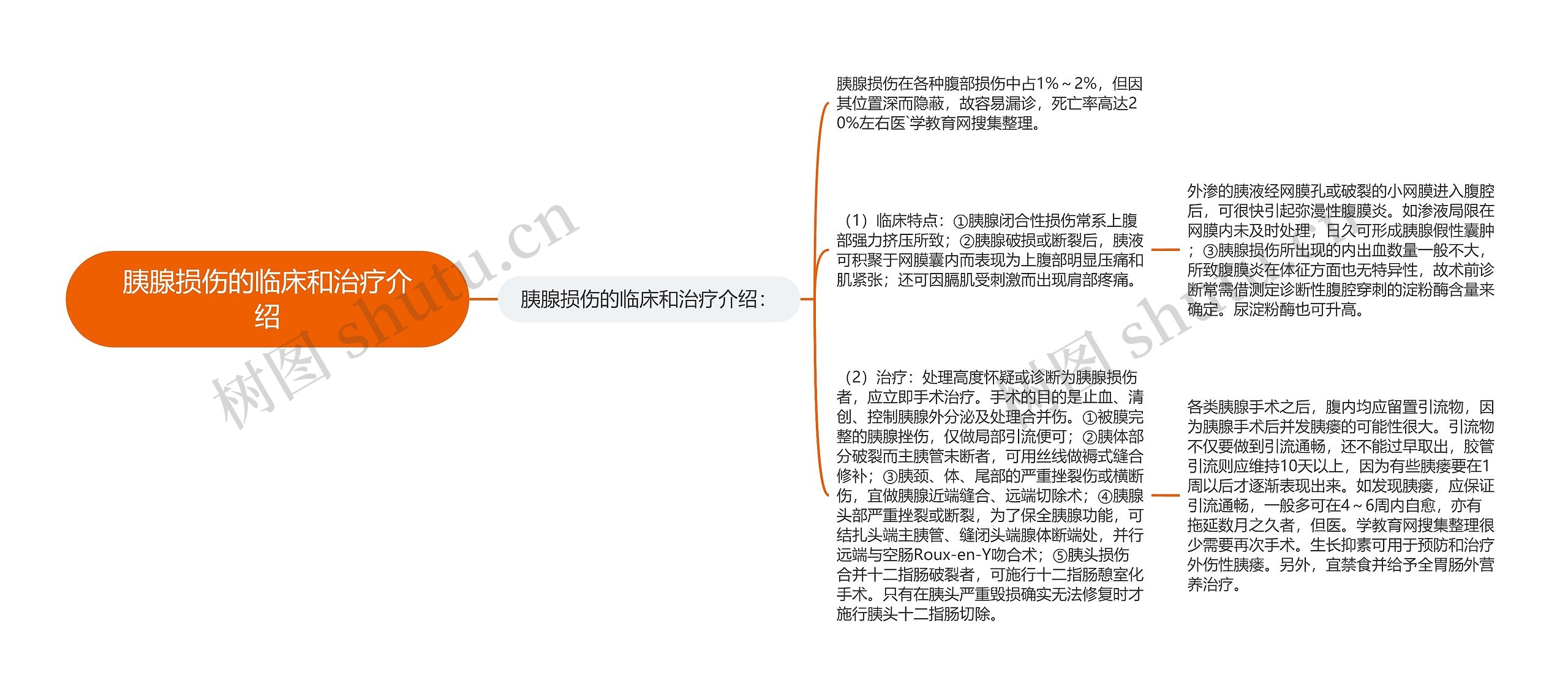 胰腺损伤的临床和治疗介绍