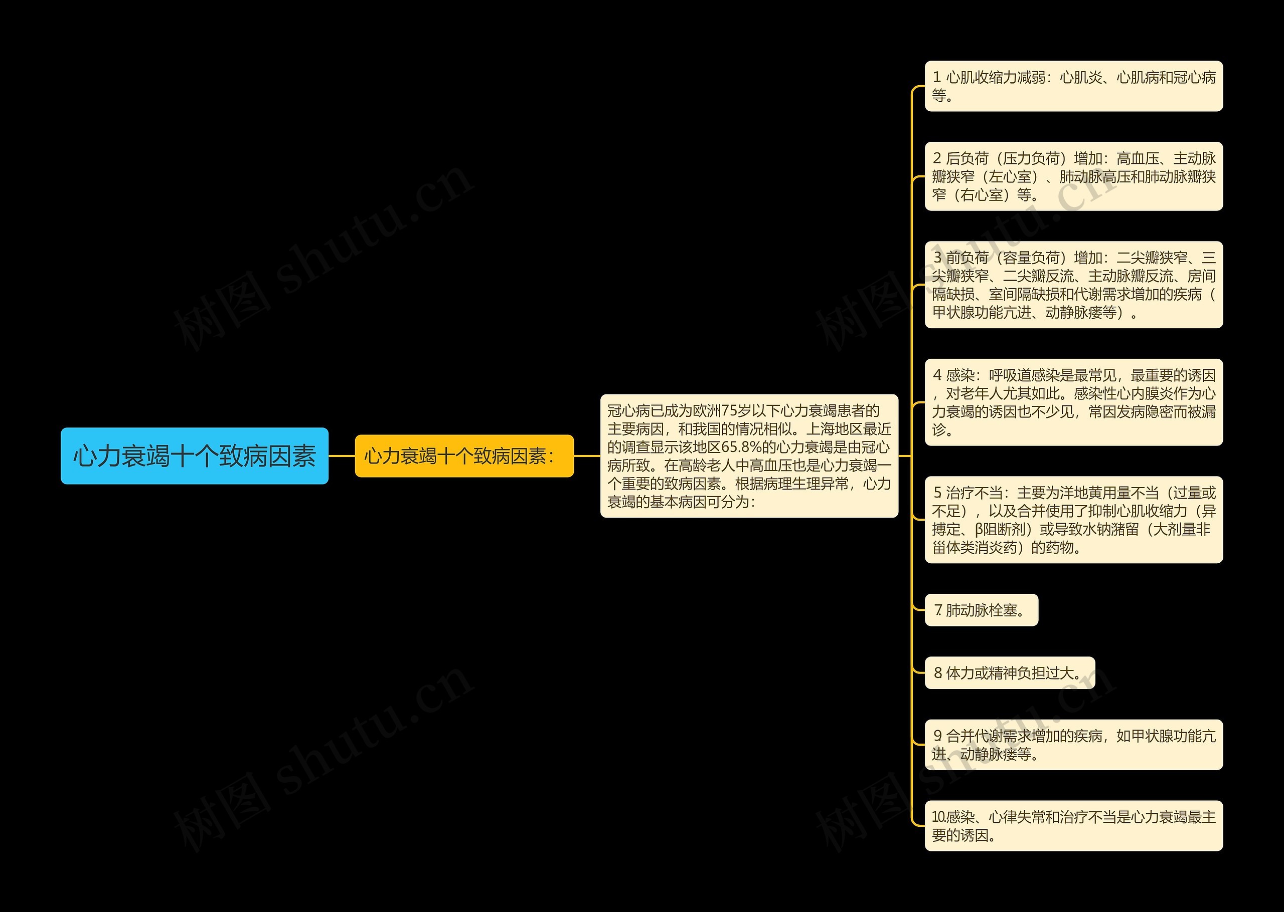 心力衰竭十个致病因素思维导图