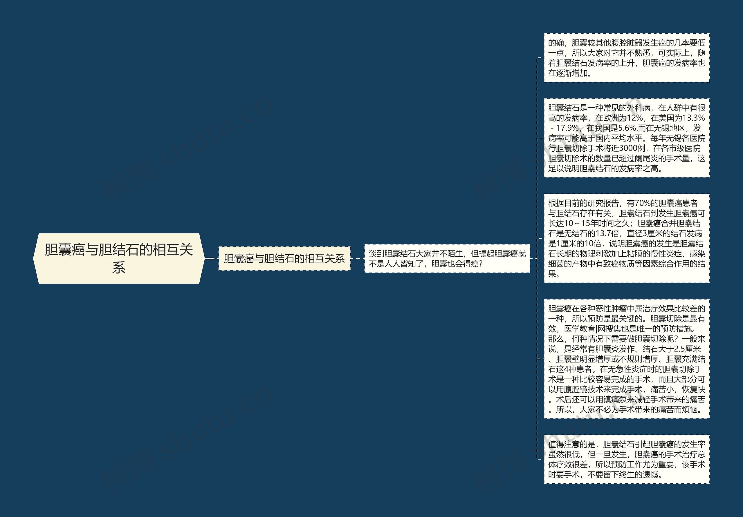 胆囊癌与胆结石的相互关系思维导图