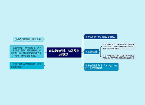 白头翁的药性、功效及主治病症！