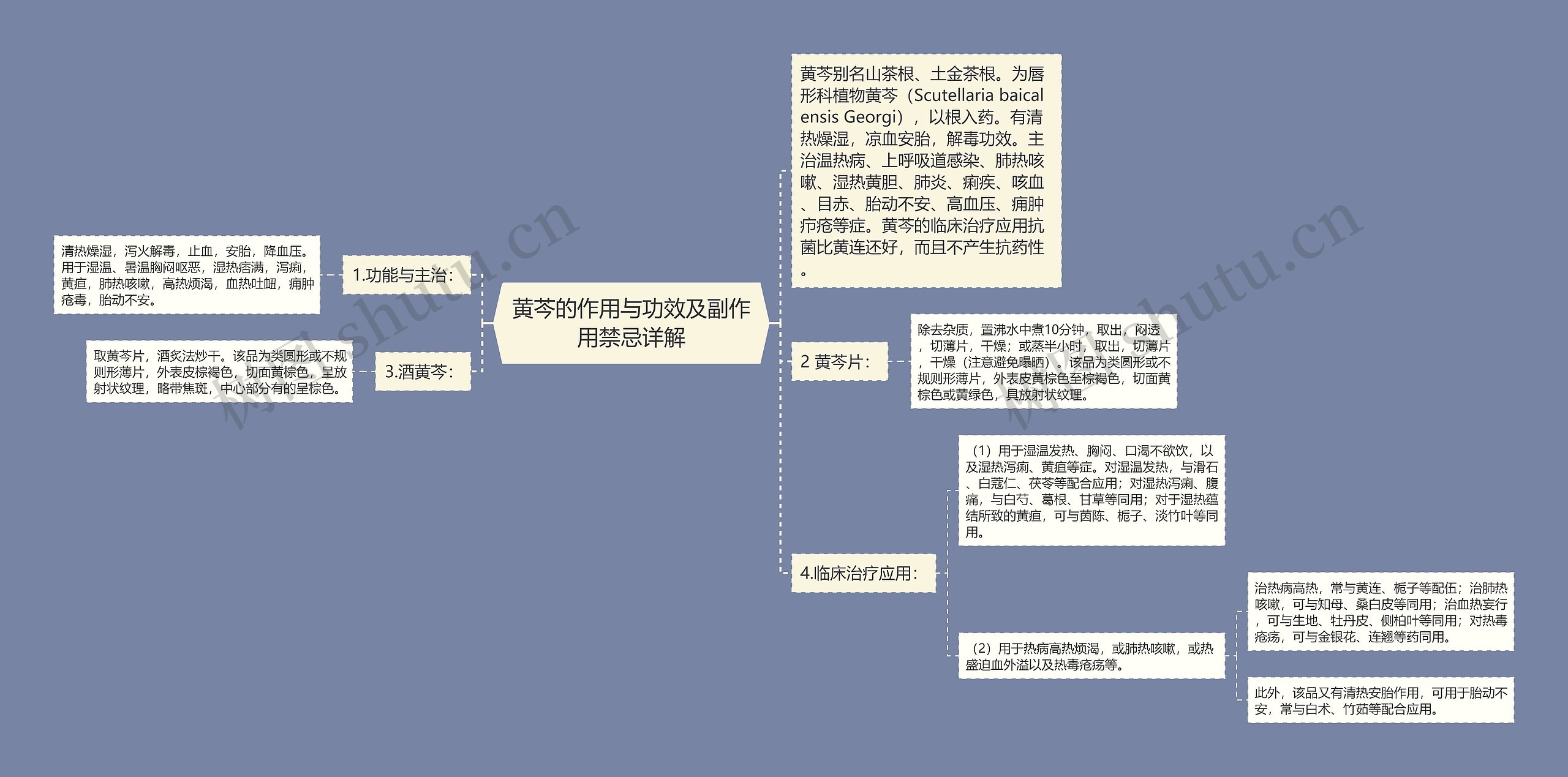 黄芩的作用与功效及副作用禁忌详解思维导图