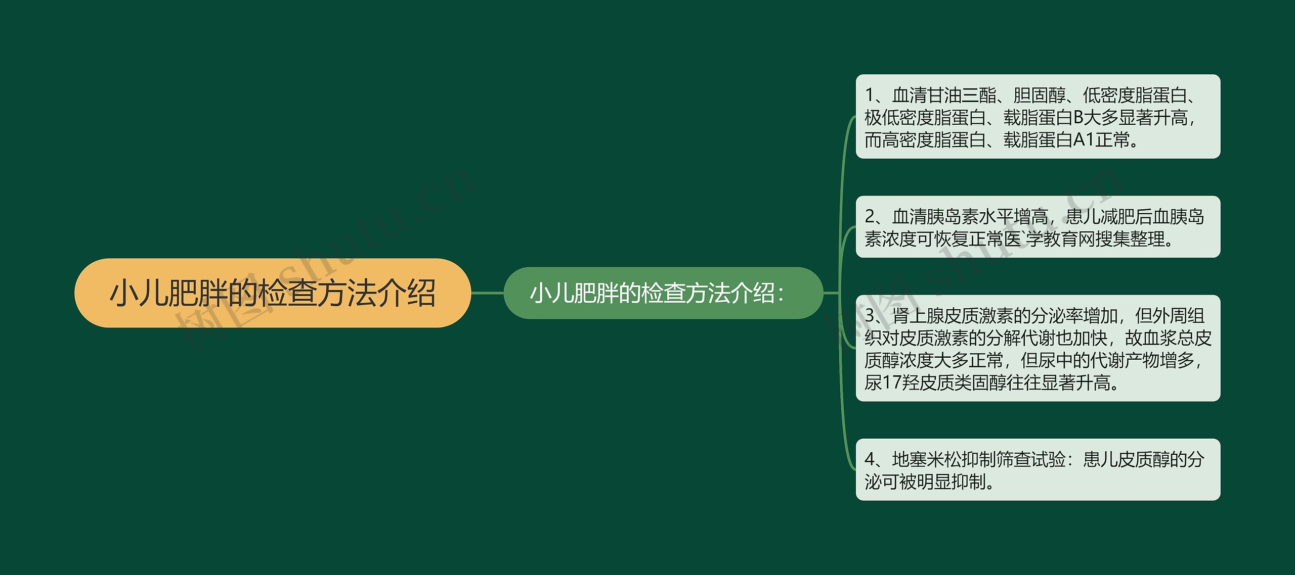 小儿肥胖的检查方法介绍思维导图