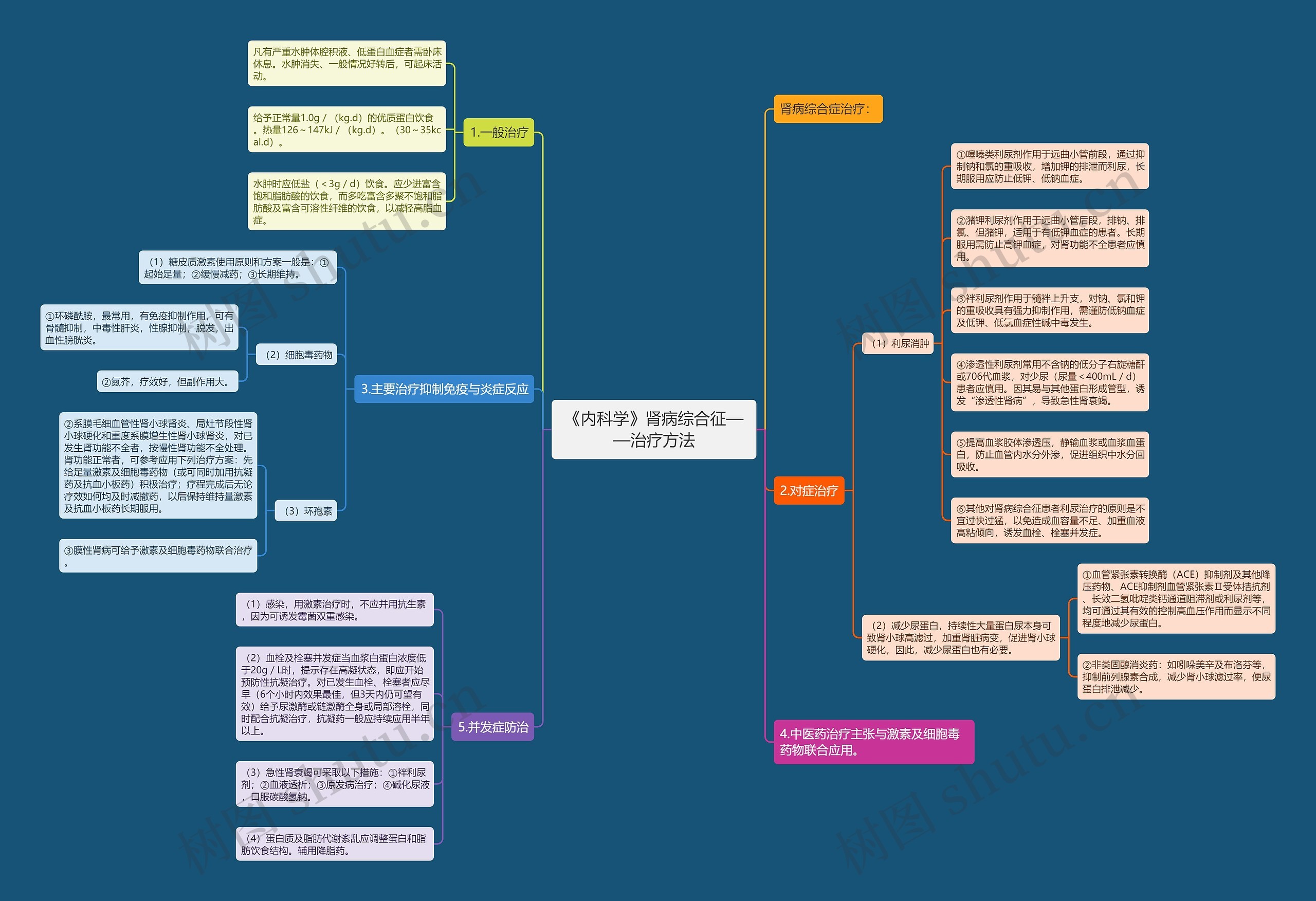 《内科学》肾病综合征——治疗方法思维导图