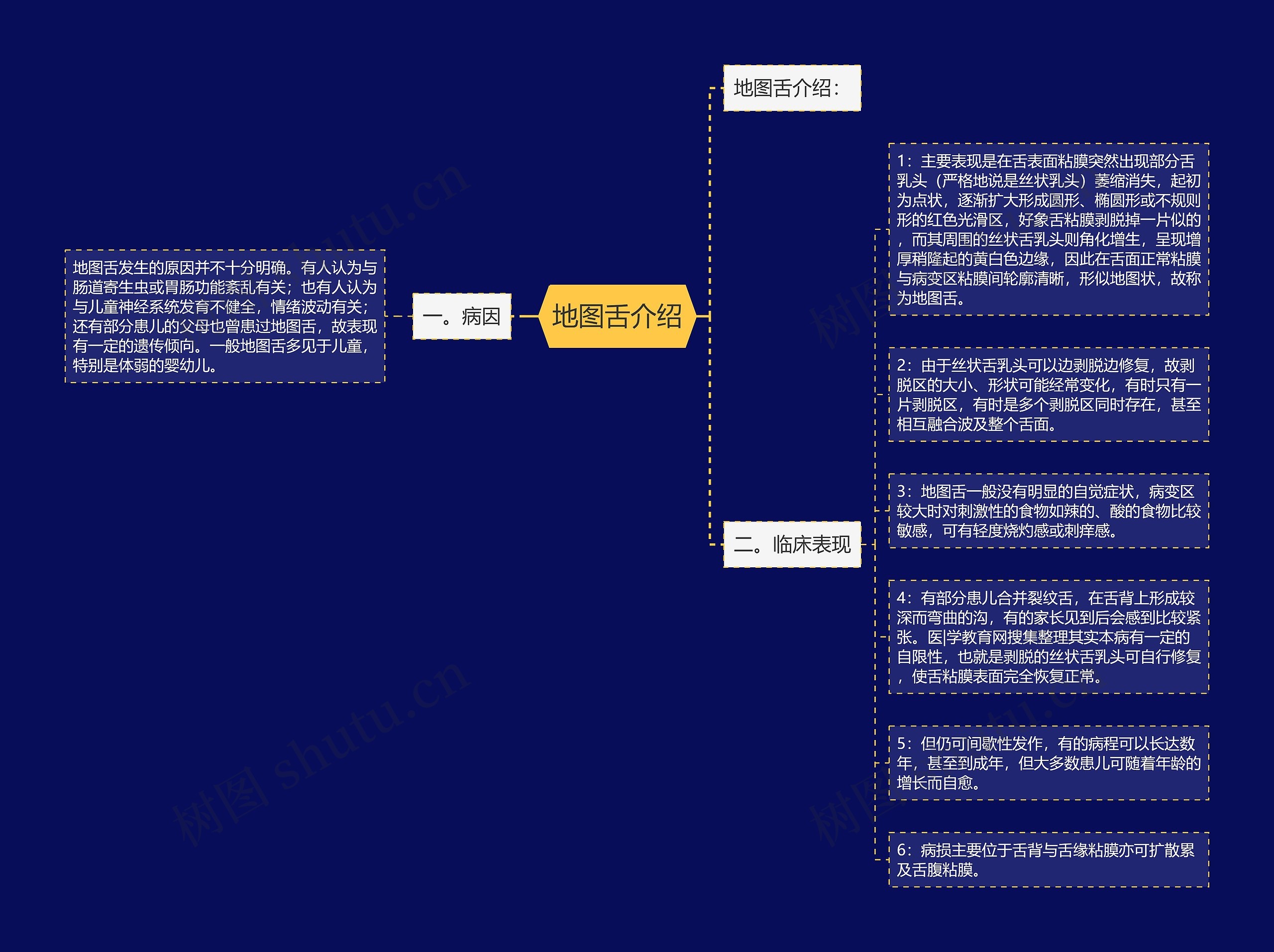 地图舌介绍思维导图