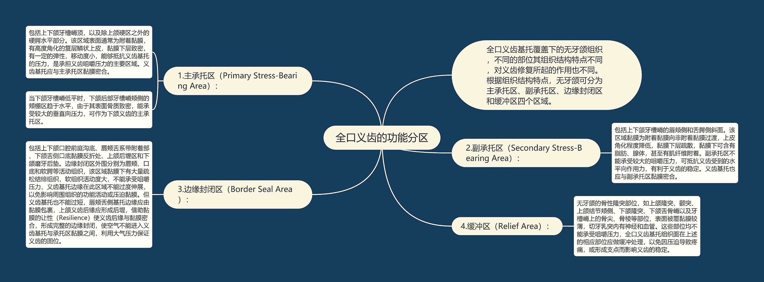 全口义齿的功能分区