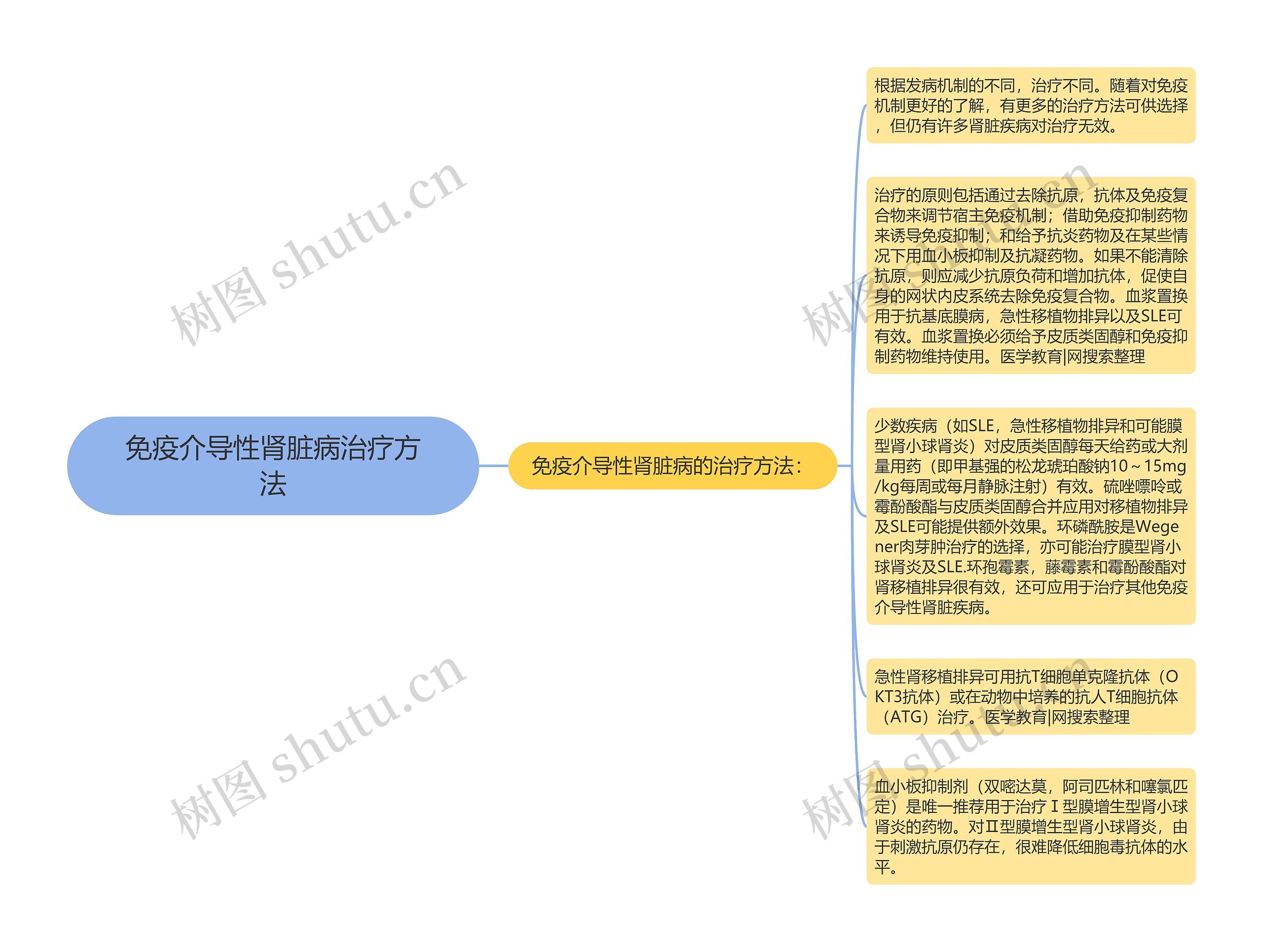 免疫介导性肾脏病治疗方法思维导图