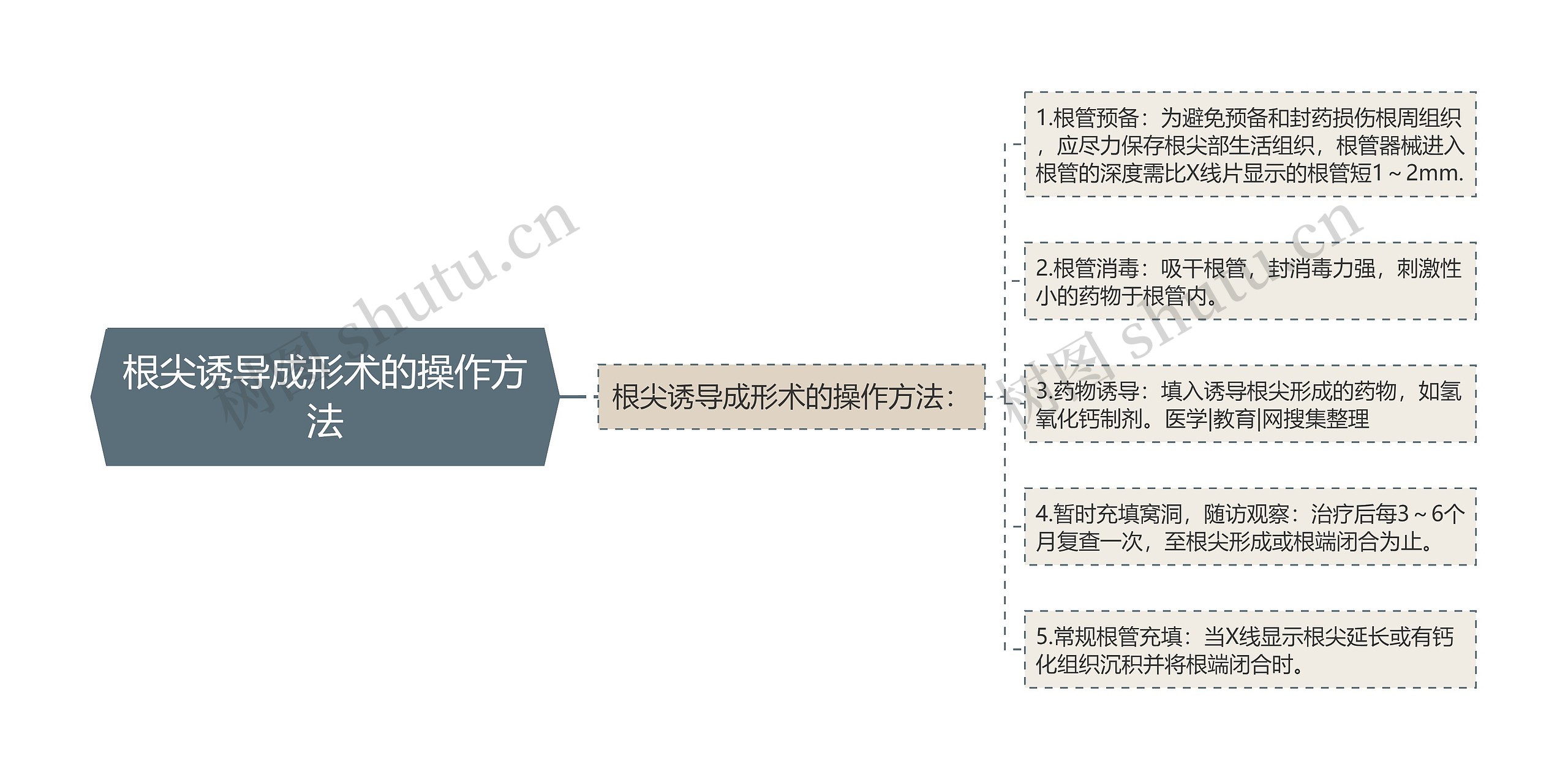 根尖诱导成形术的操作方法思维导图