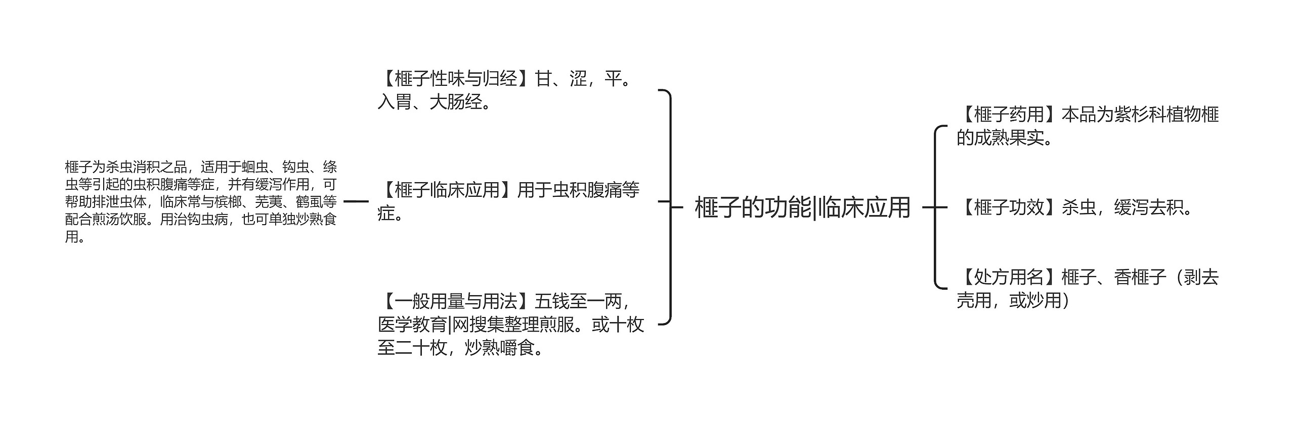 榧子的功能|临床应用思维导图