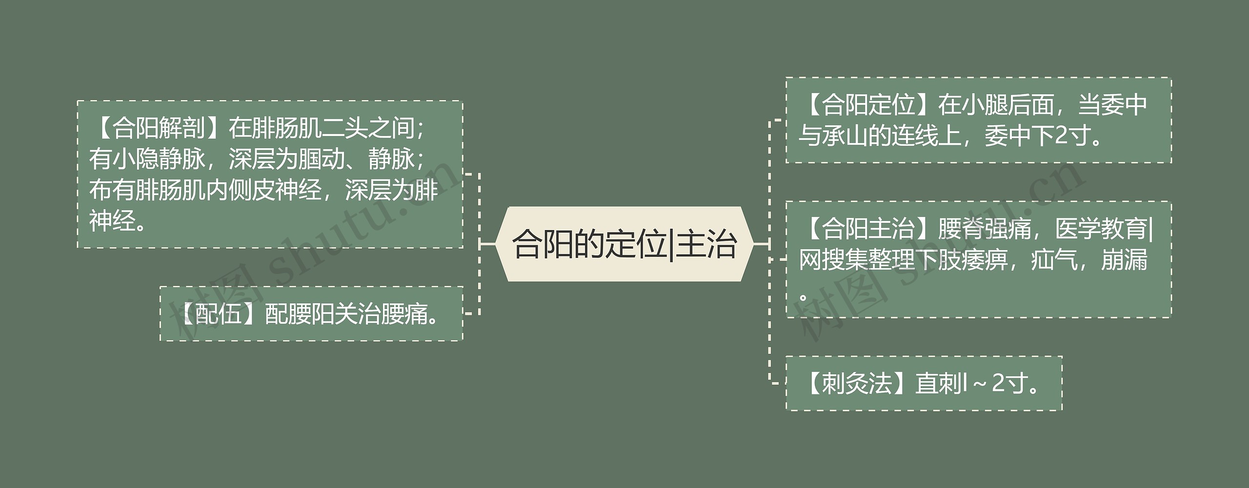 合阳的定位|主治 合阳的定位|主治