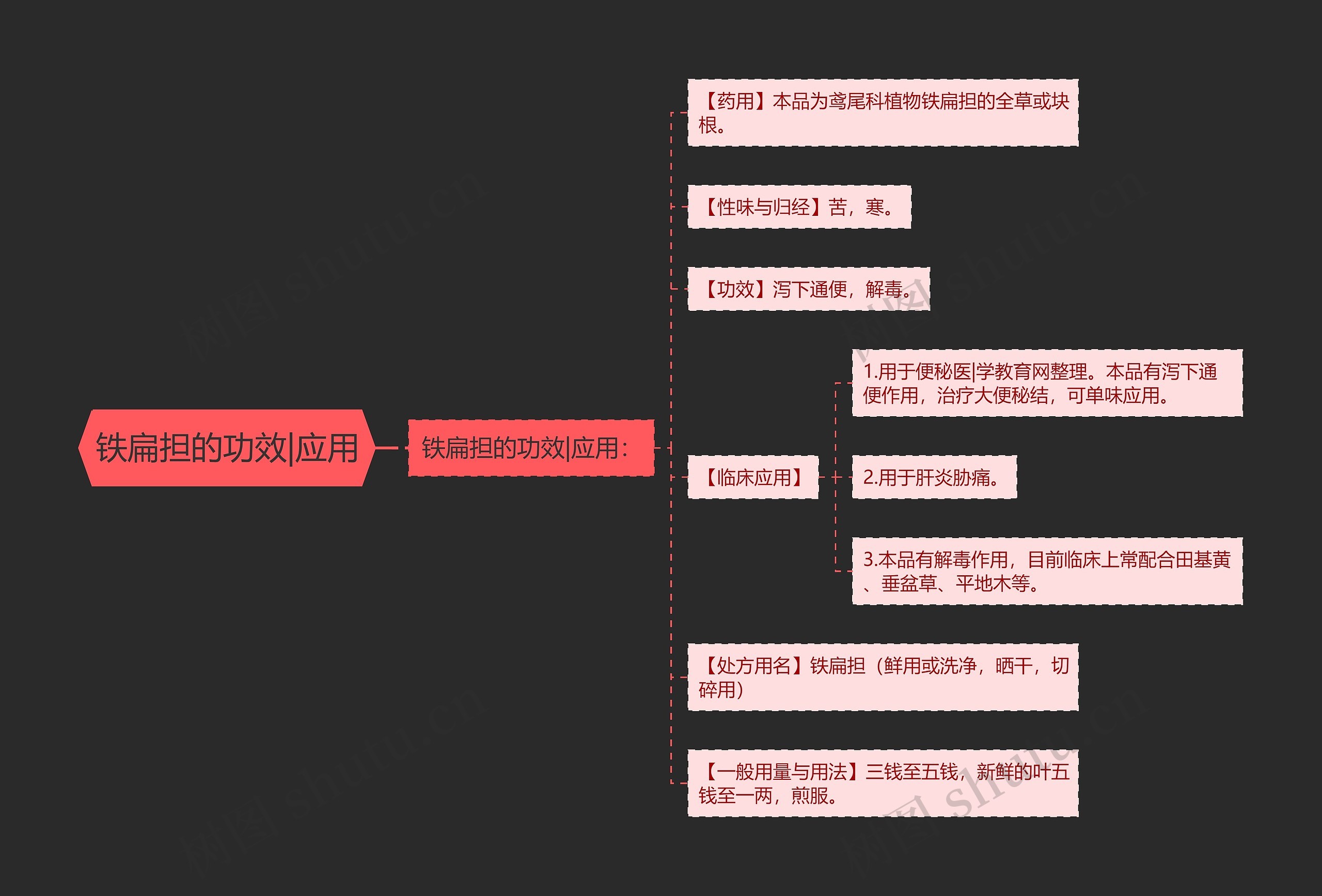 铁扁担的功效|应用思维导图