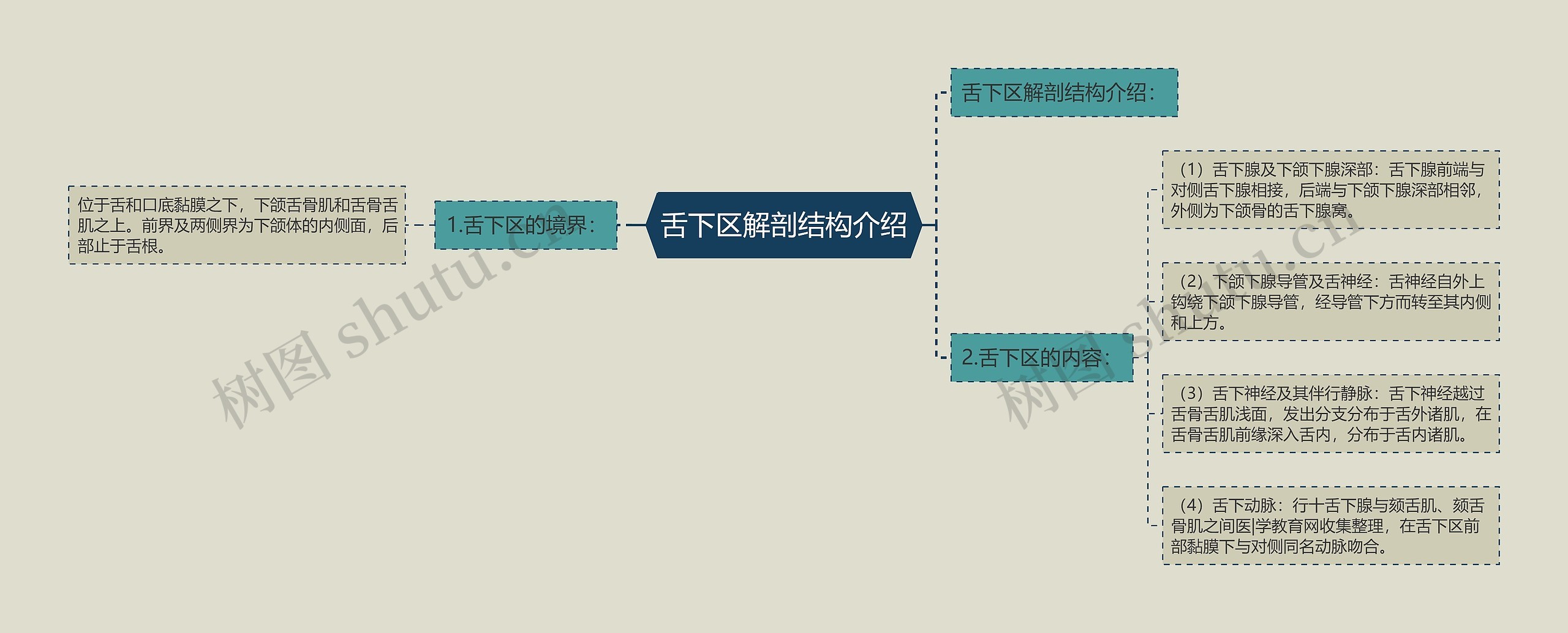 舌下区解剖结构介绍