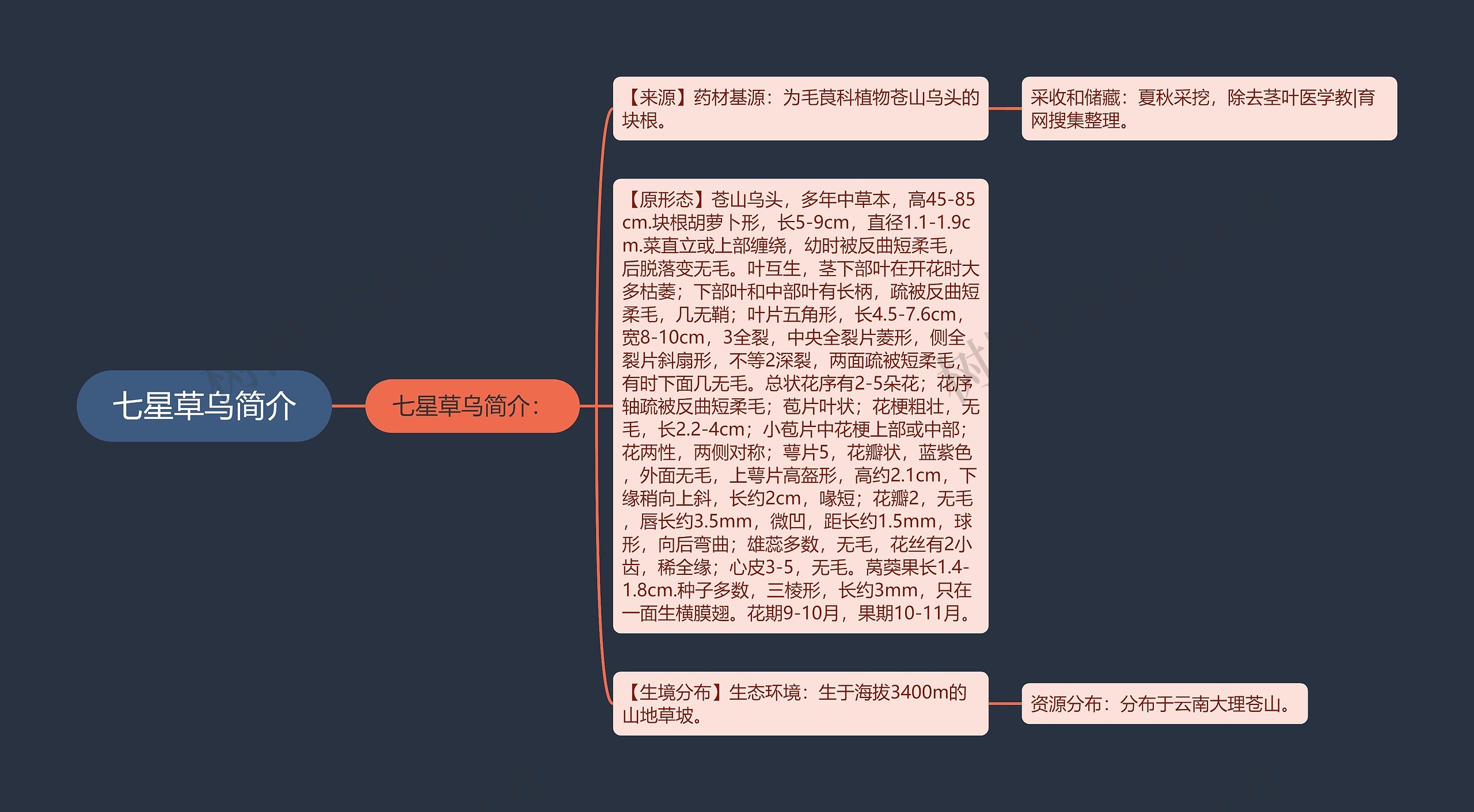 七星草乌简介思维导图