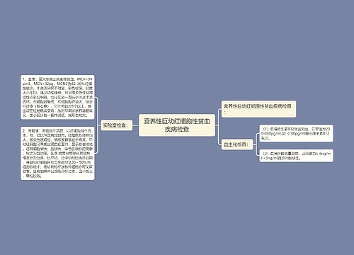 营养性巨幼红细胞性贫血疾病检查