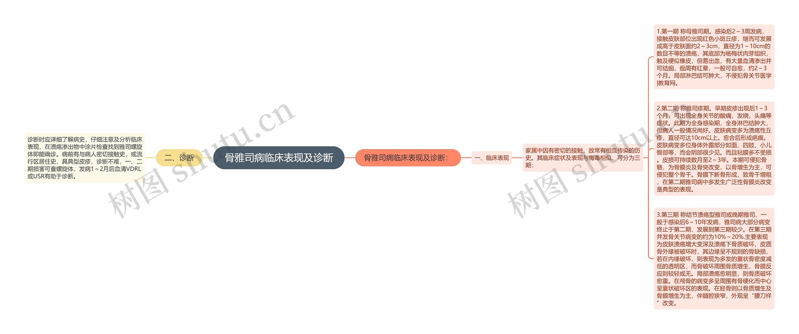 骨雅司病临床表现及诊断思维导图