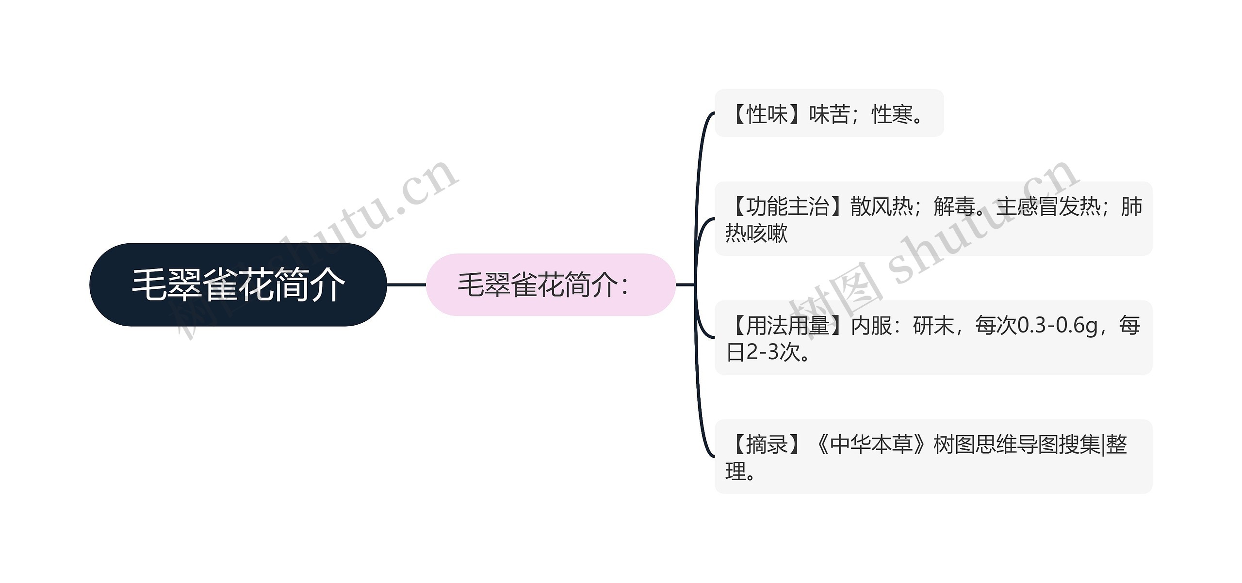 毛翠雀花简介思维导图