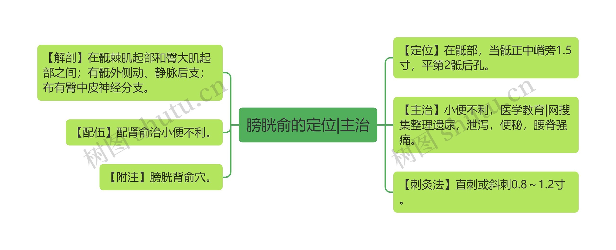 膀胱俞的定位|主治 膀胱俞的定位|主治