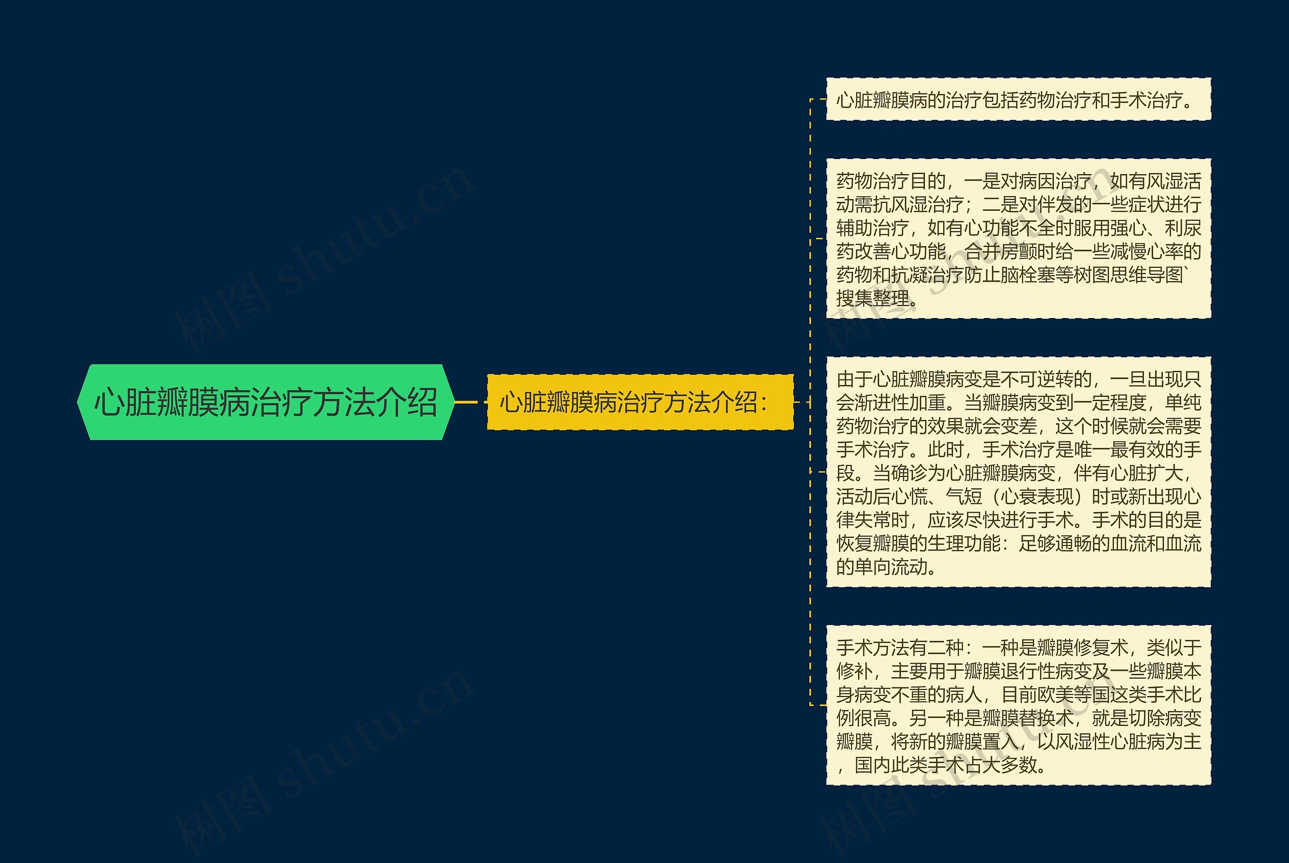 心脏瓣膜病治疗方法介绍思维导图